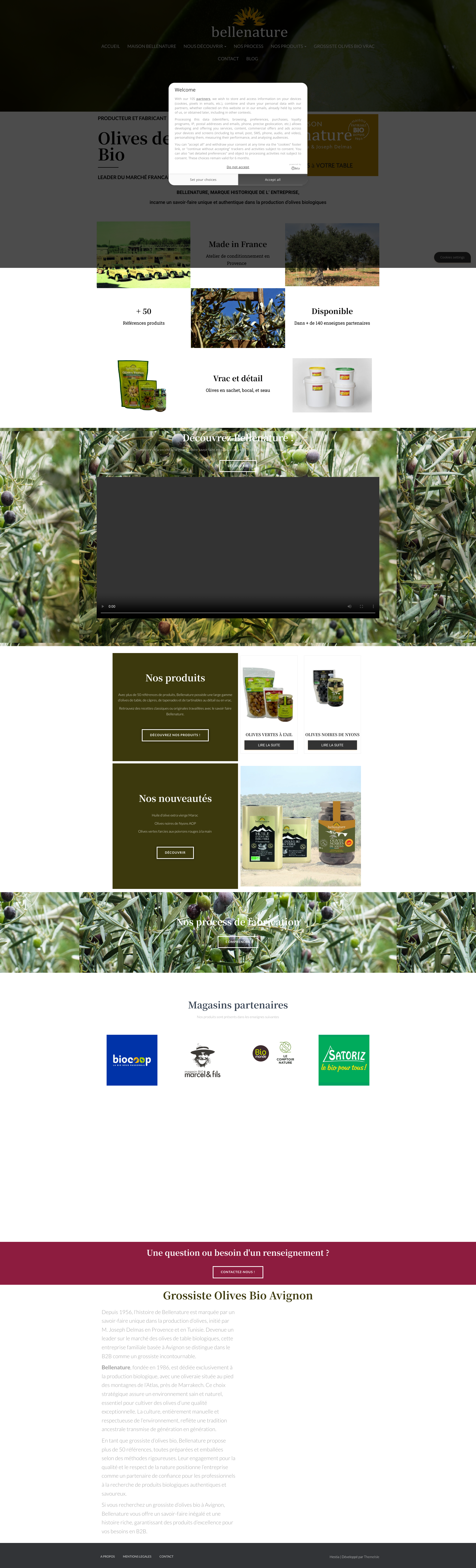 Aperçu du site