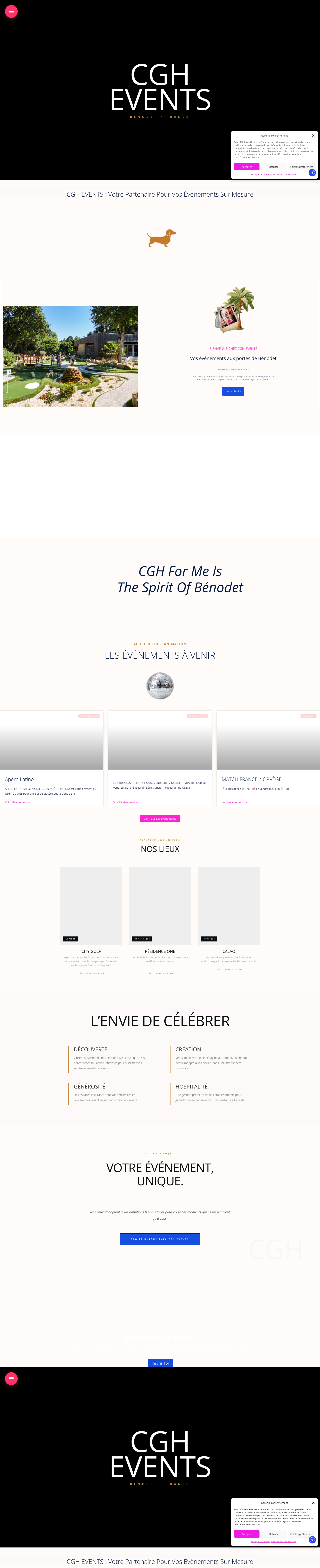 Aperçu du site