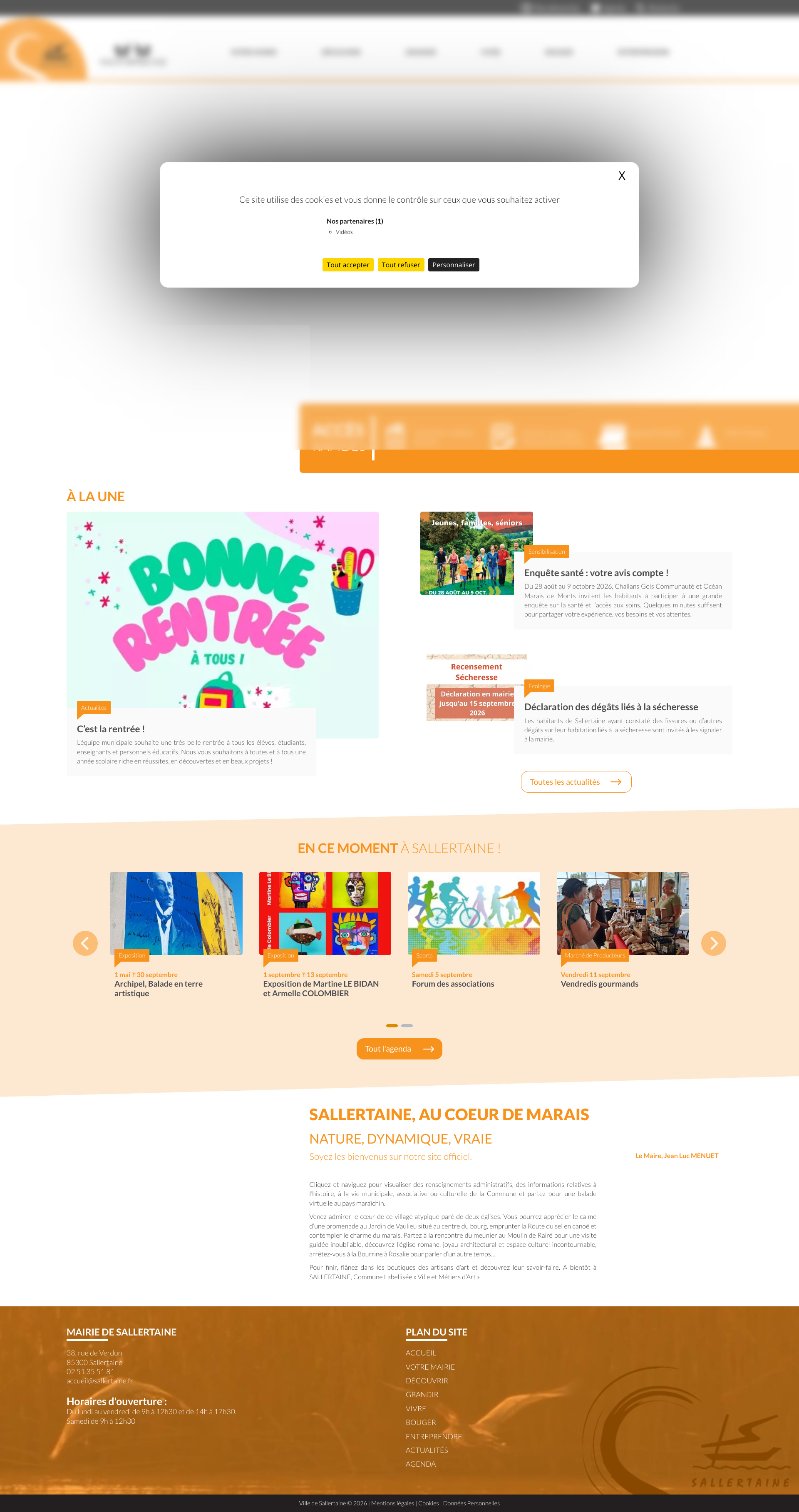 Aperçu du site