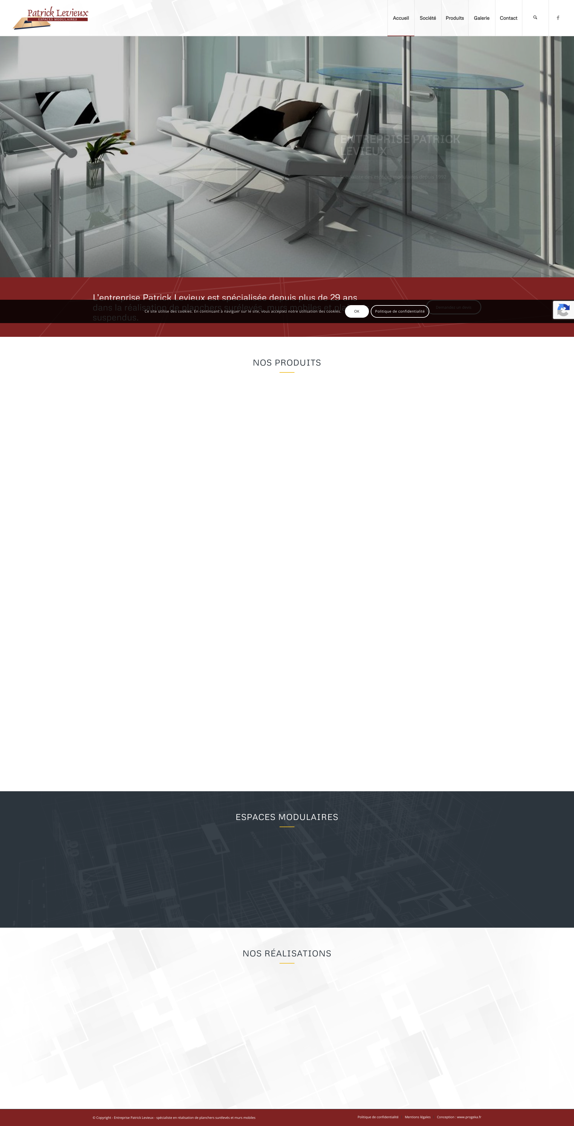 Aperçu du site