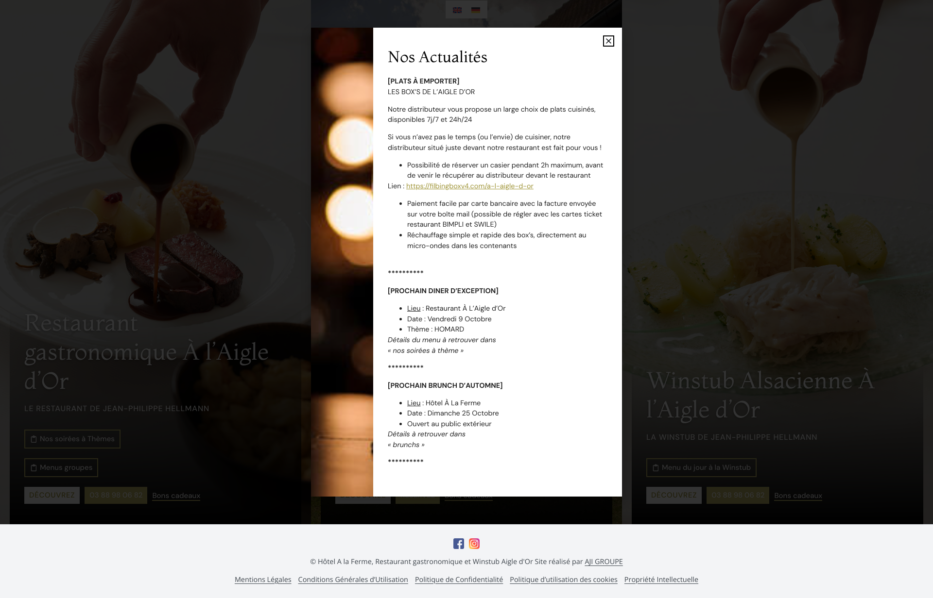 Aperçu du site
