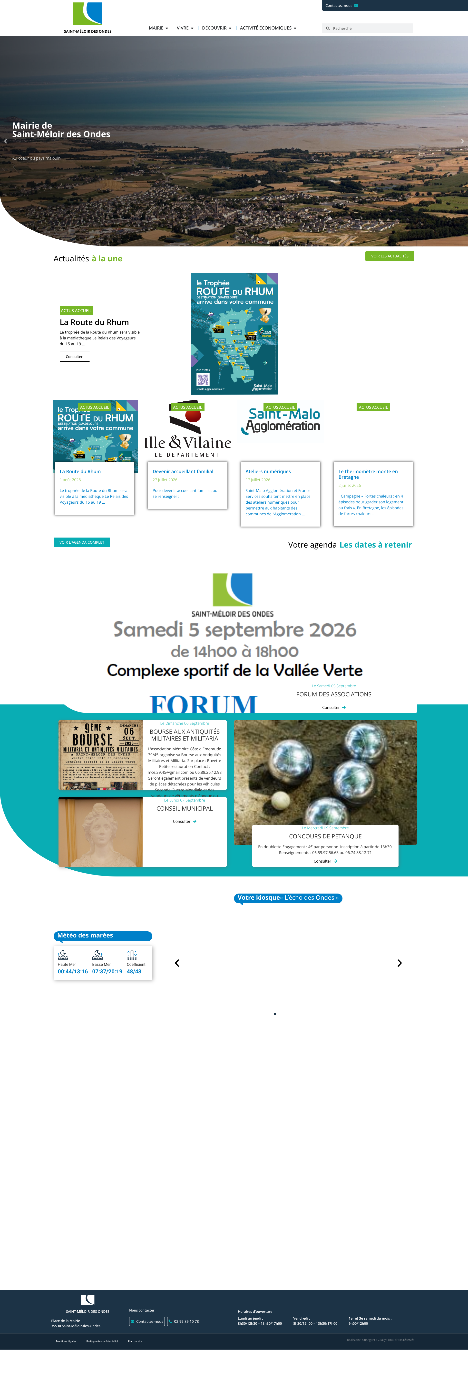 Aperçu du site
