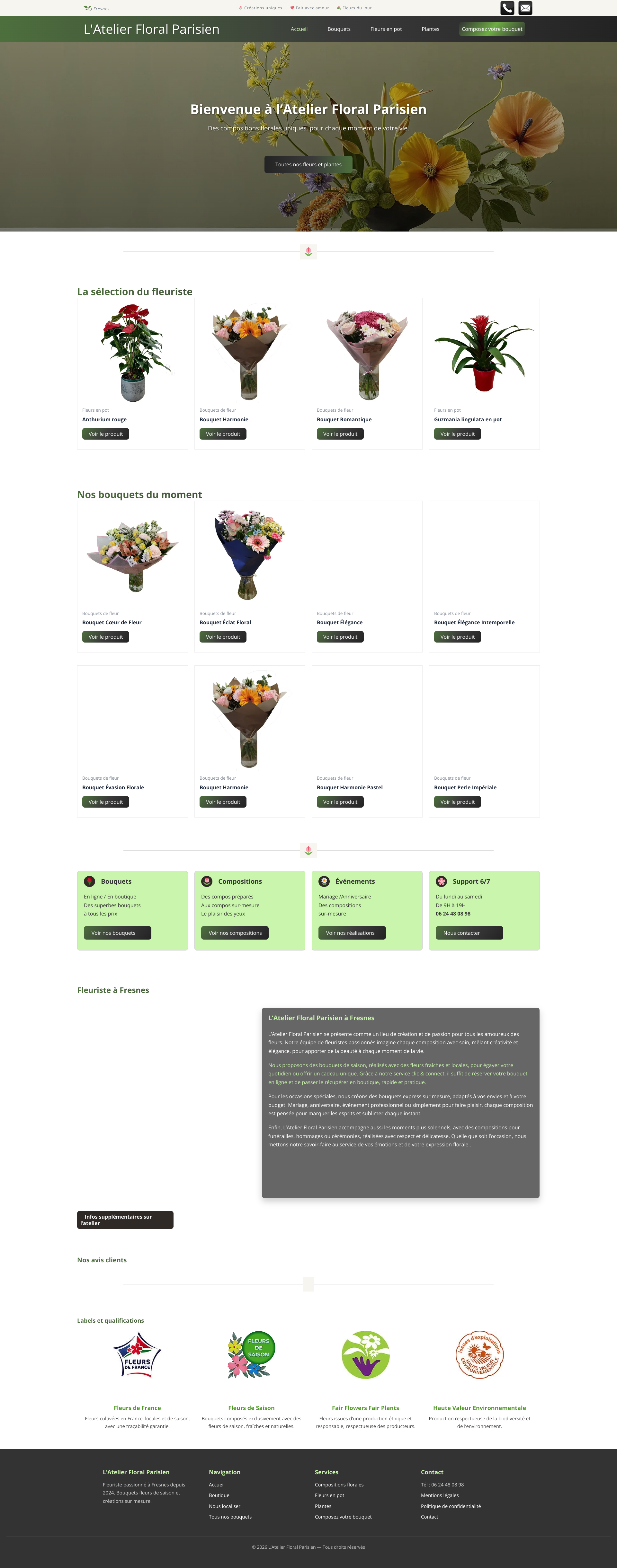 Aperçu du site