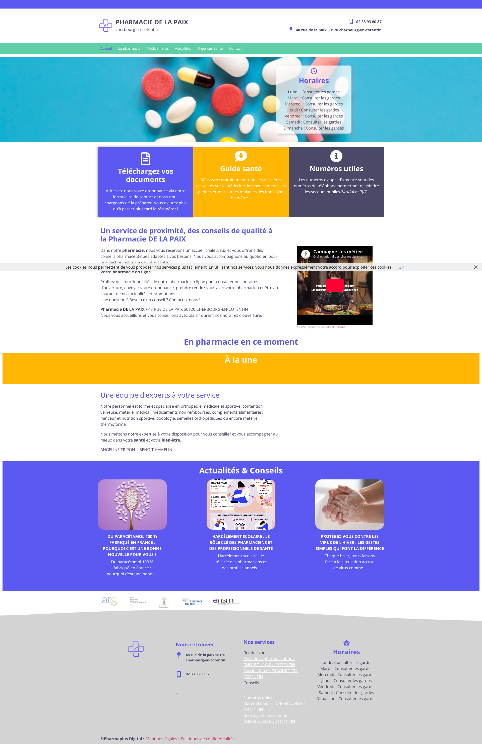 Aperçu du site