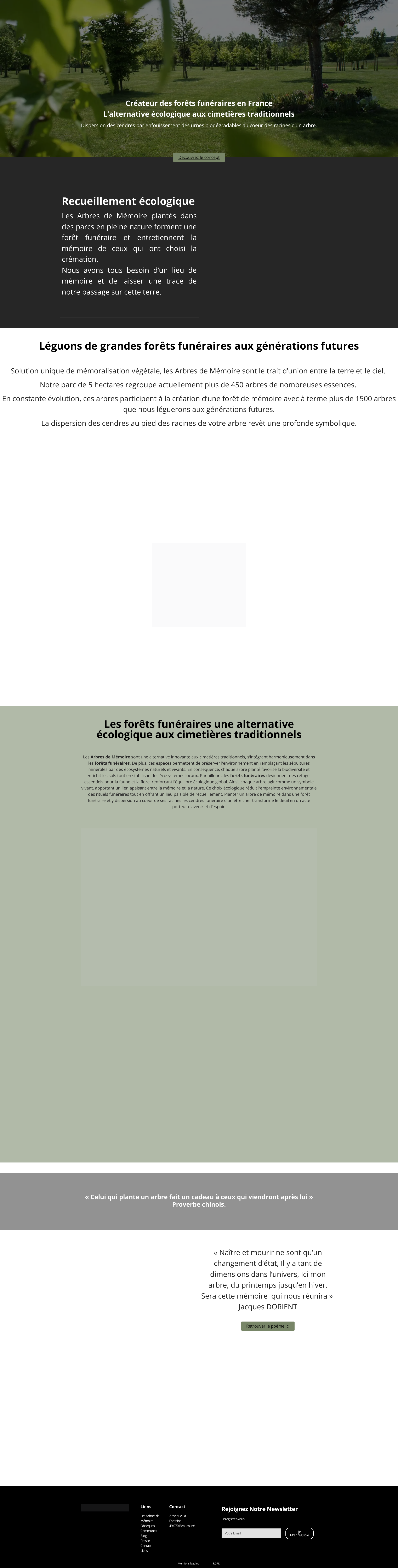 Aperçu du site