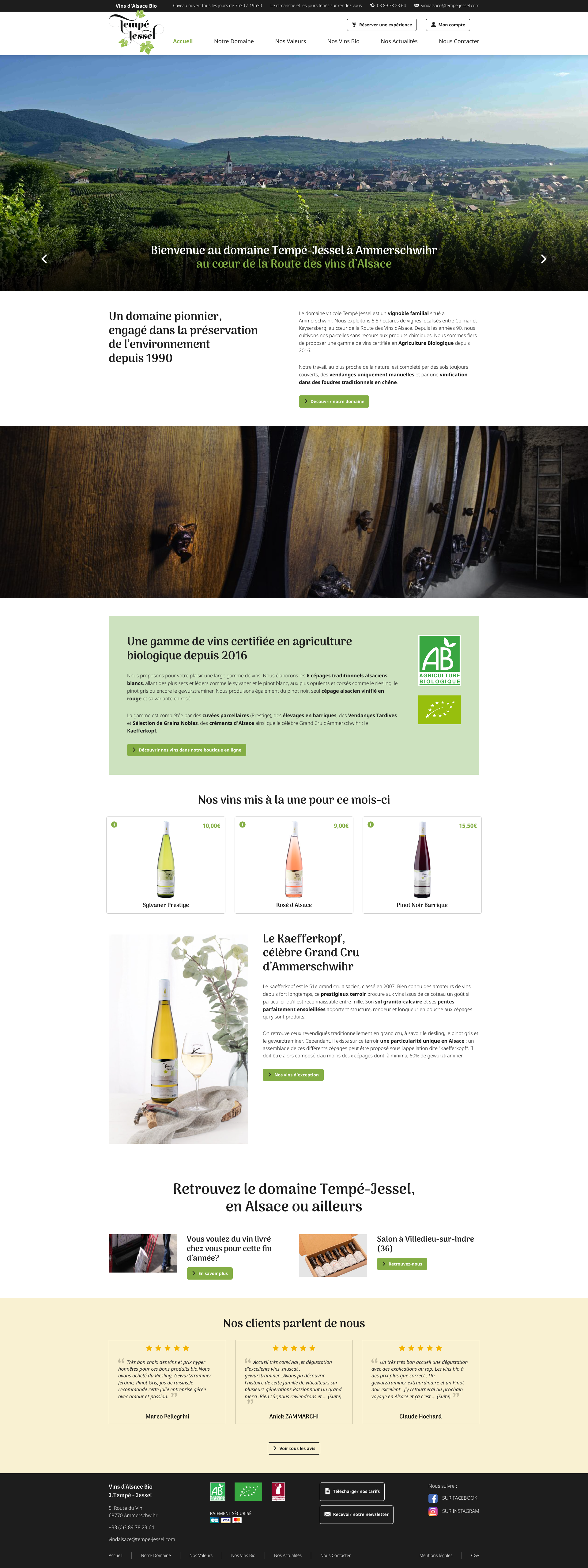 Aperçu du site