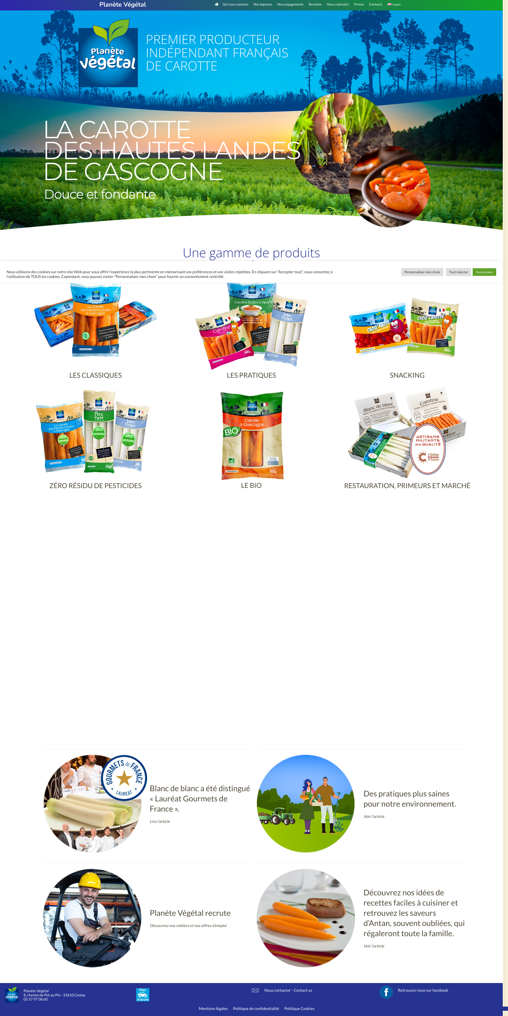 Aperçu du site