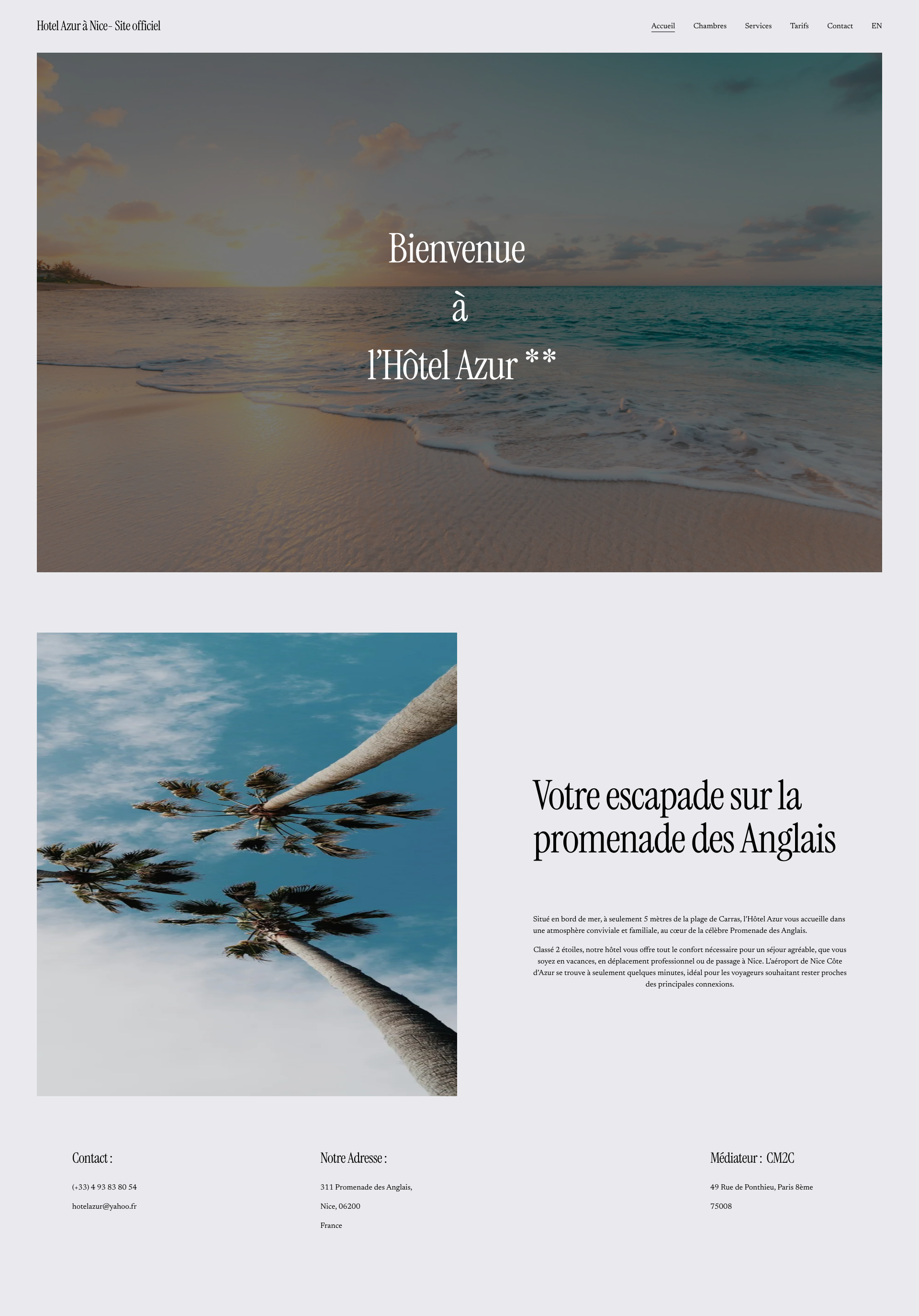 Aperçu du site