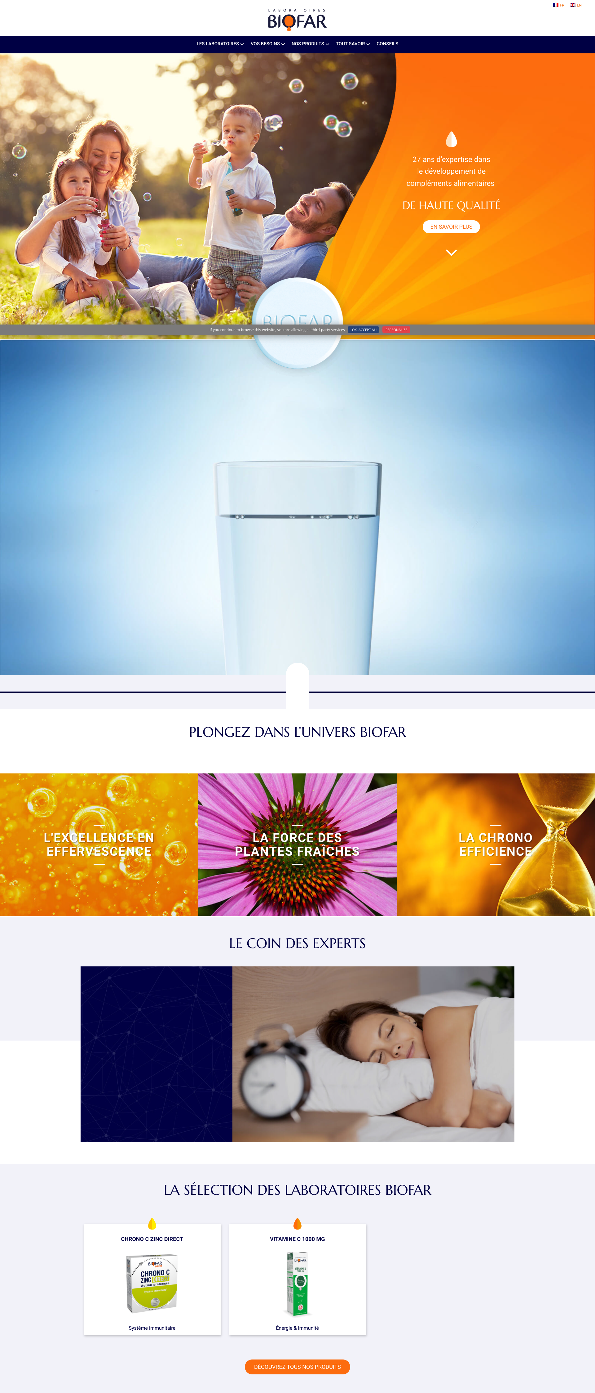 Aperçu du site
