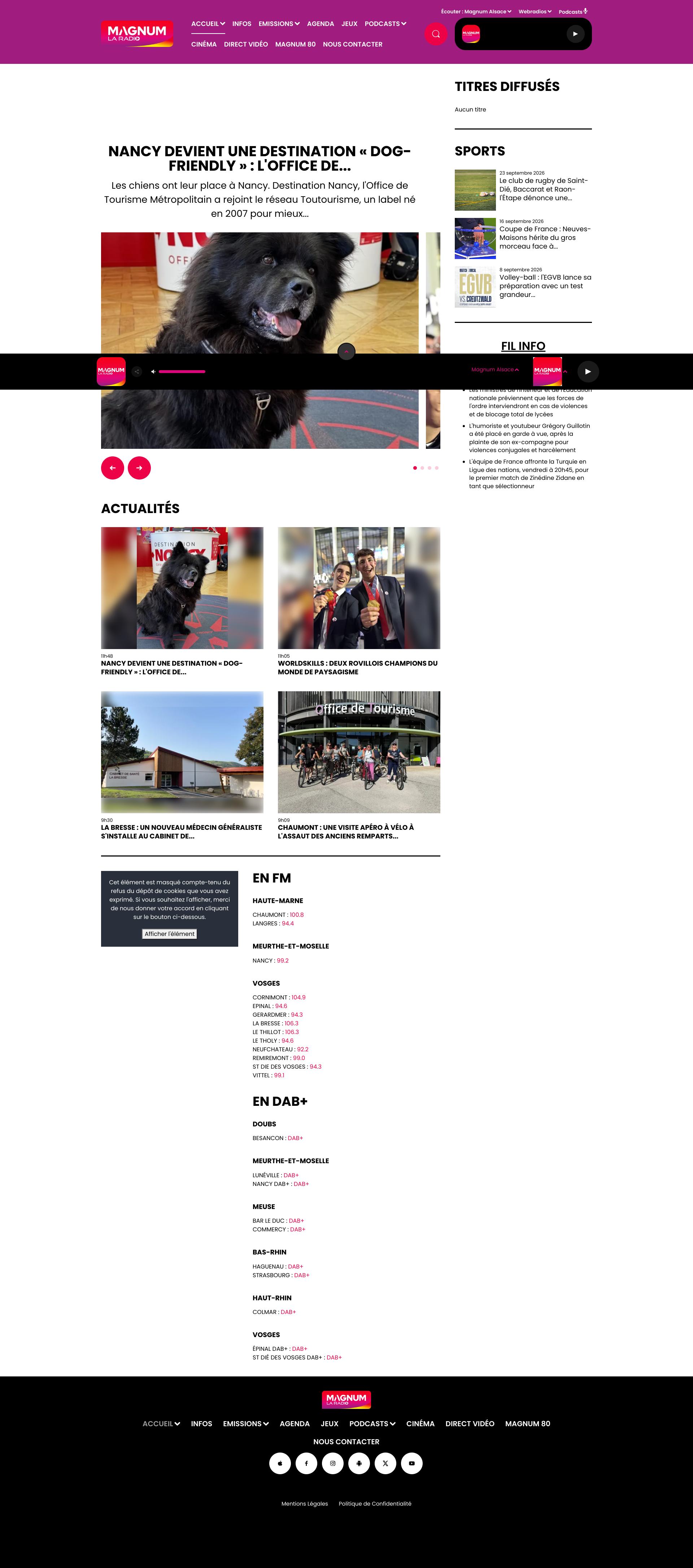 Aperçu du site