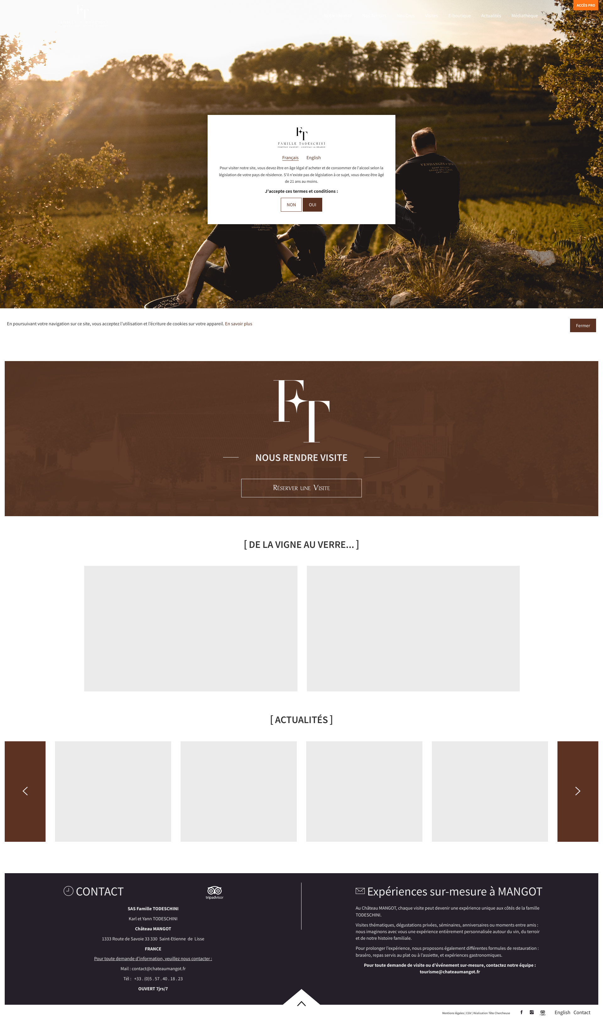 Aperçu du site