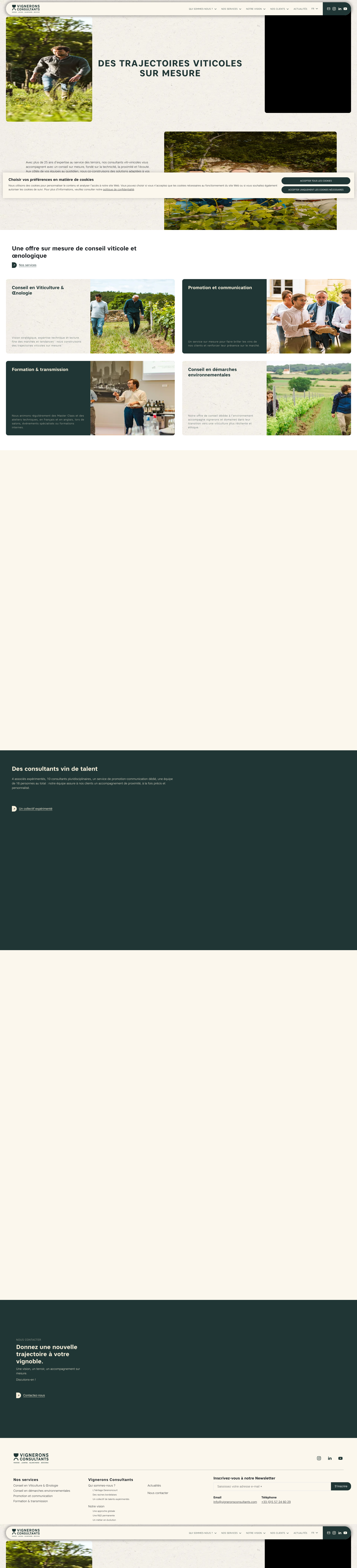 Aperçu du site