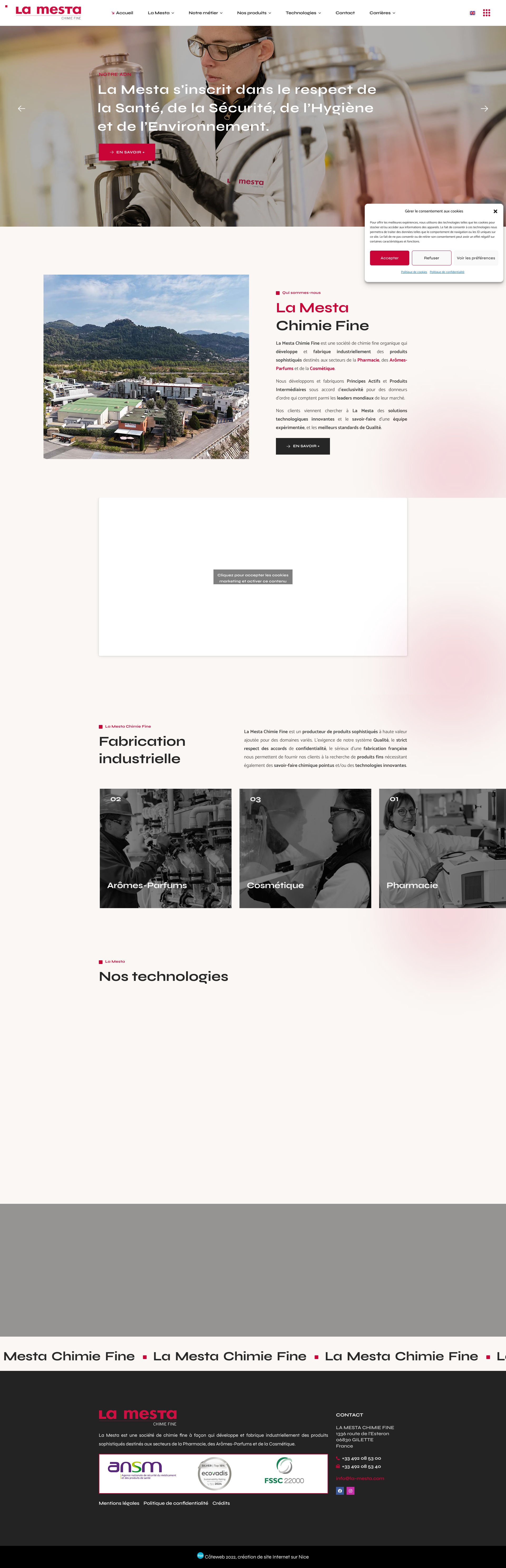 Aperçu du site