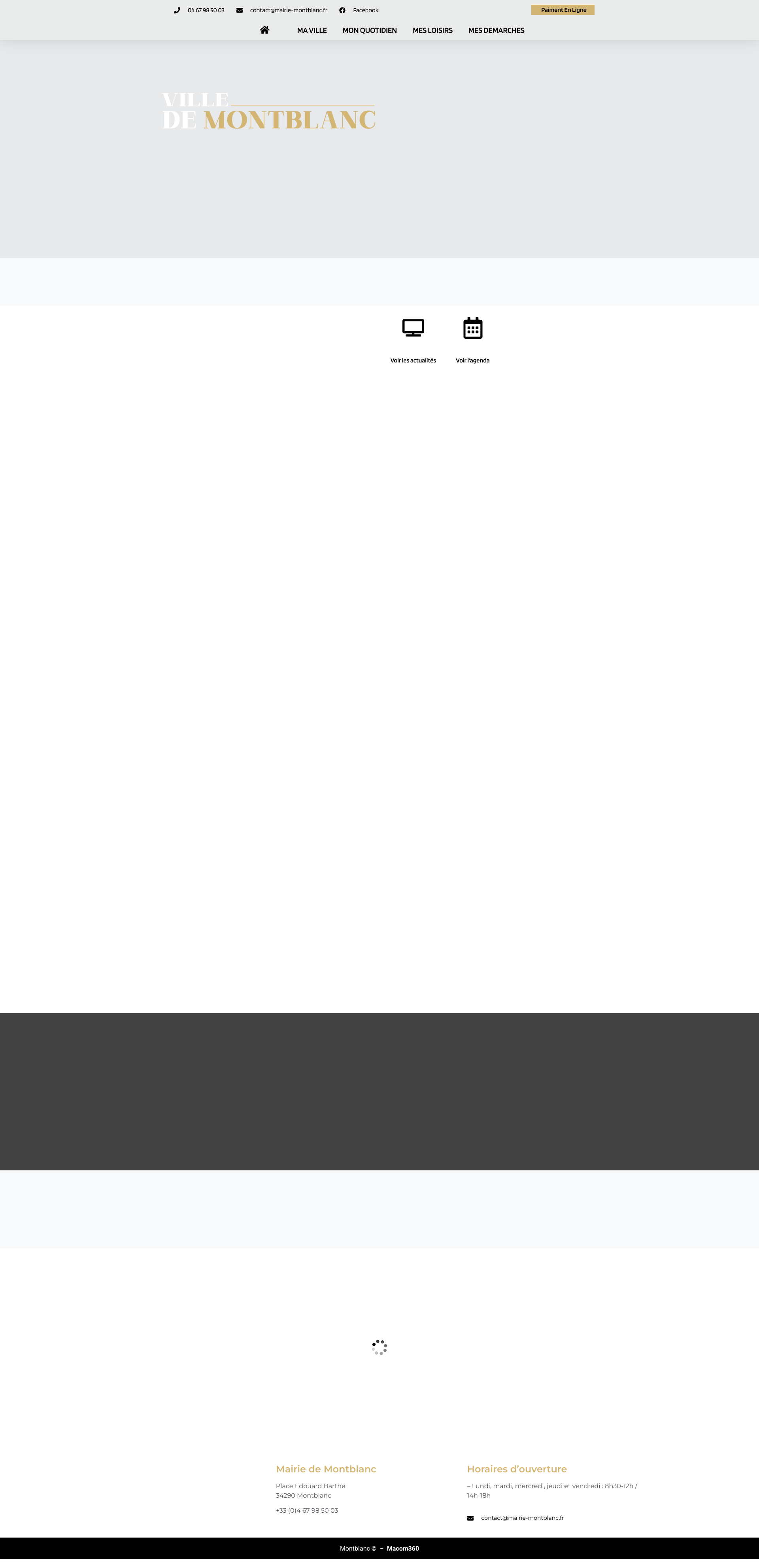 Aperçu du site
