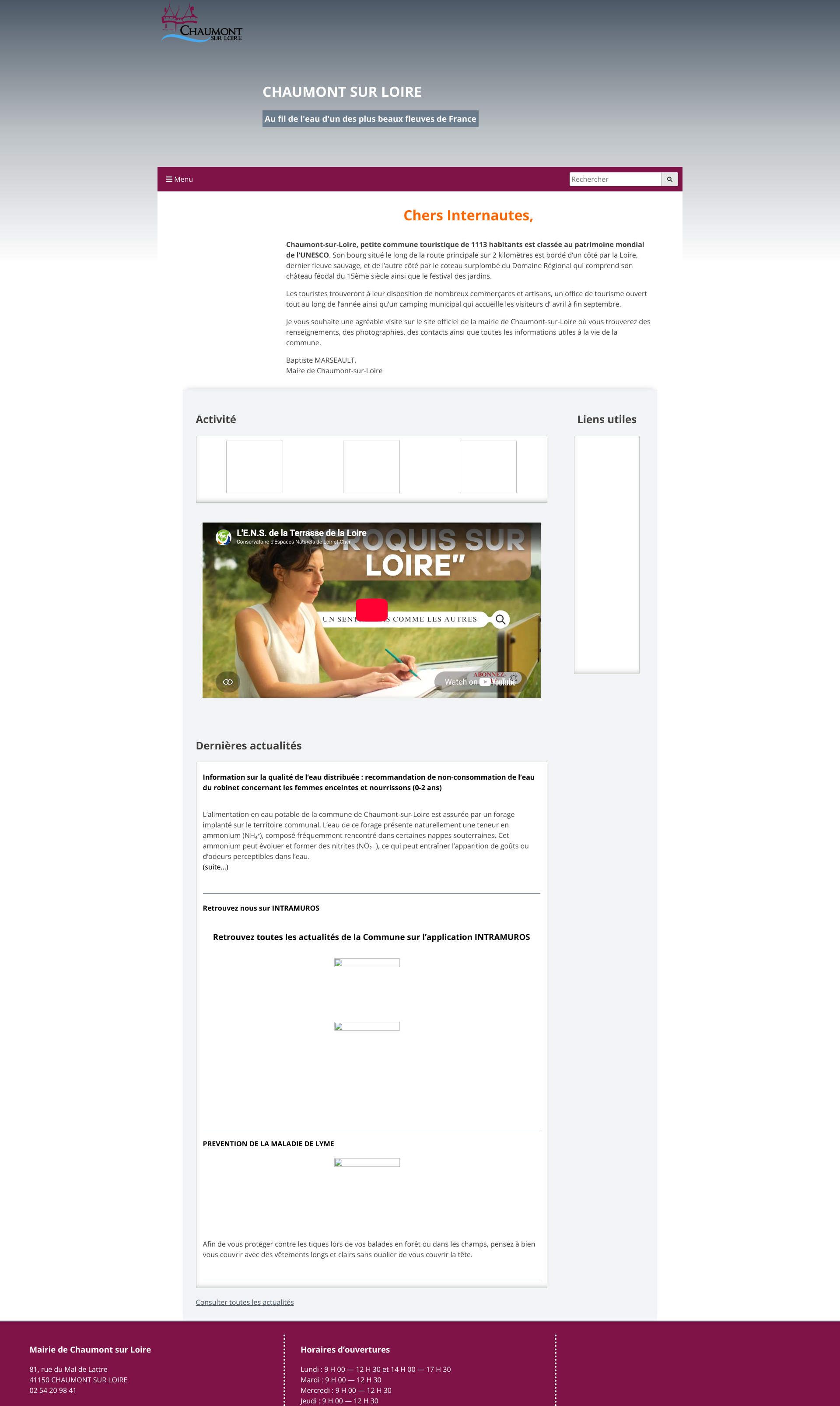 Aperçu du site