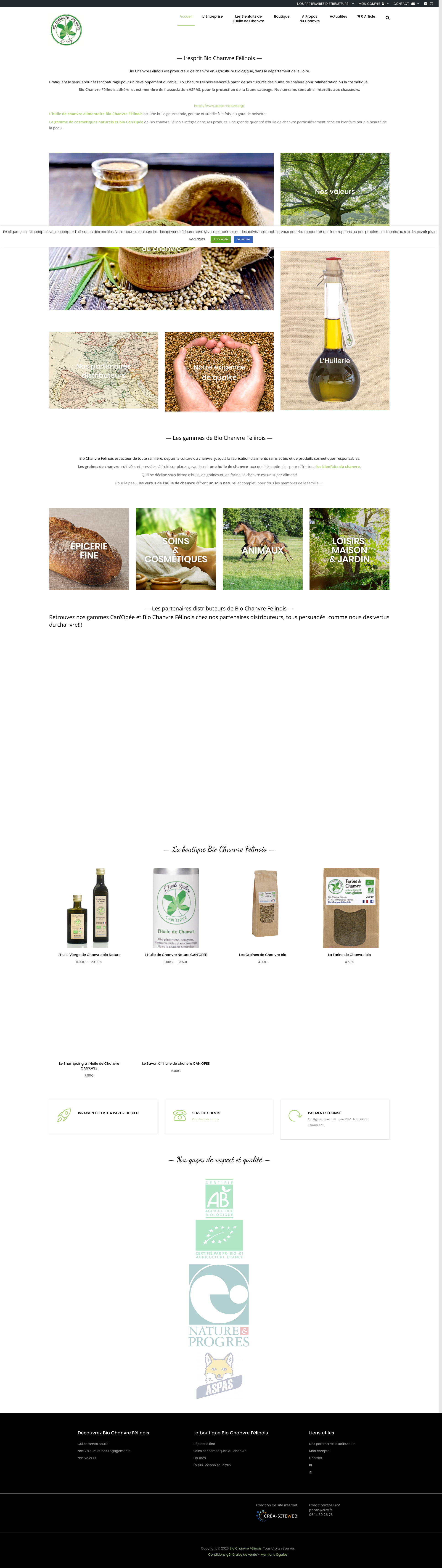 Aperçu du site