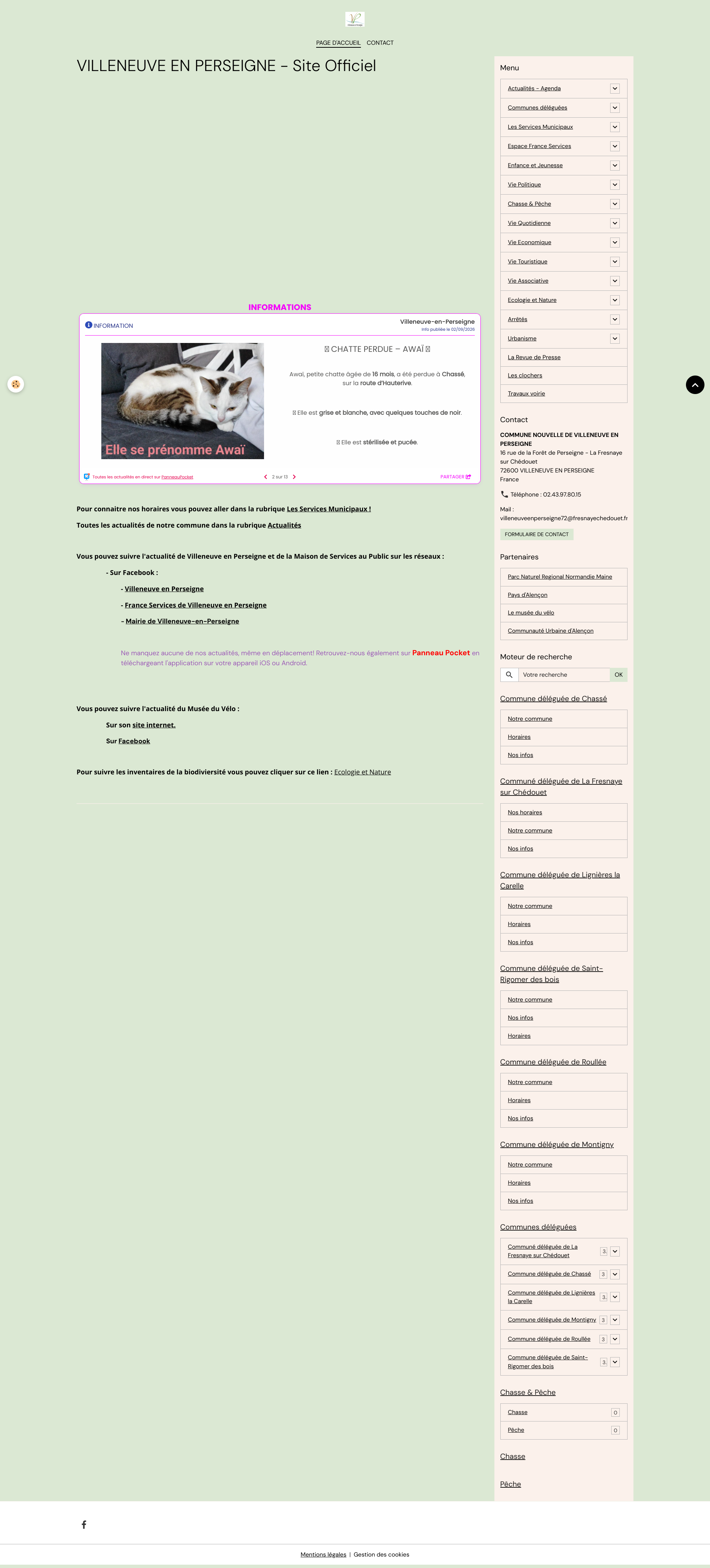 Aperçu du site