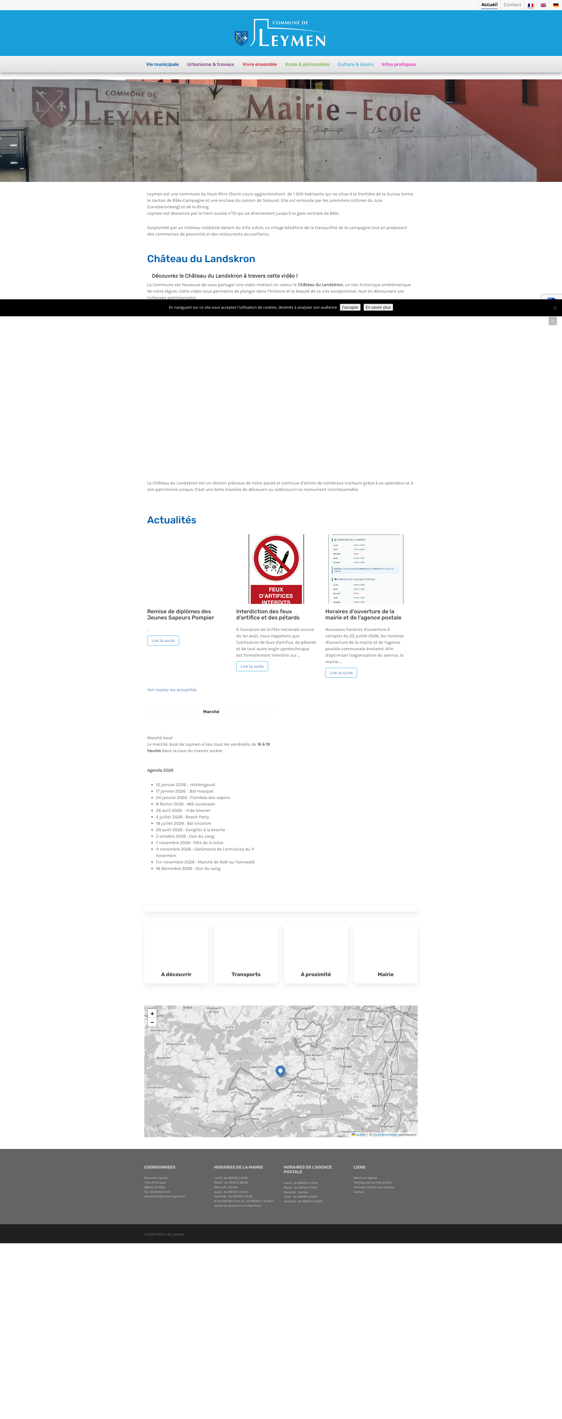 Aperçu du site