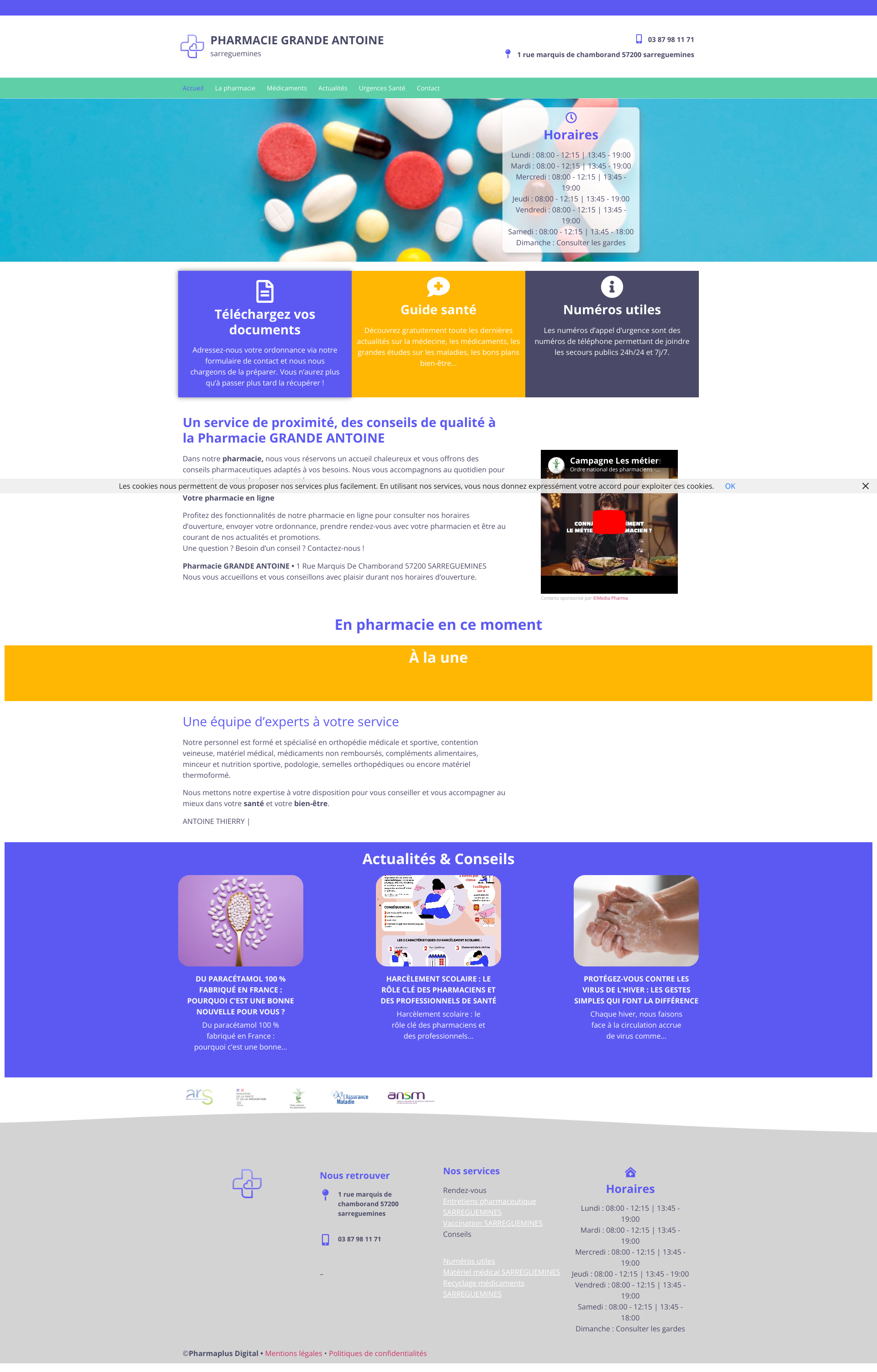 Aperçu du site