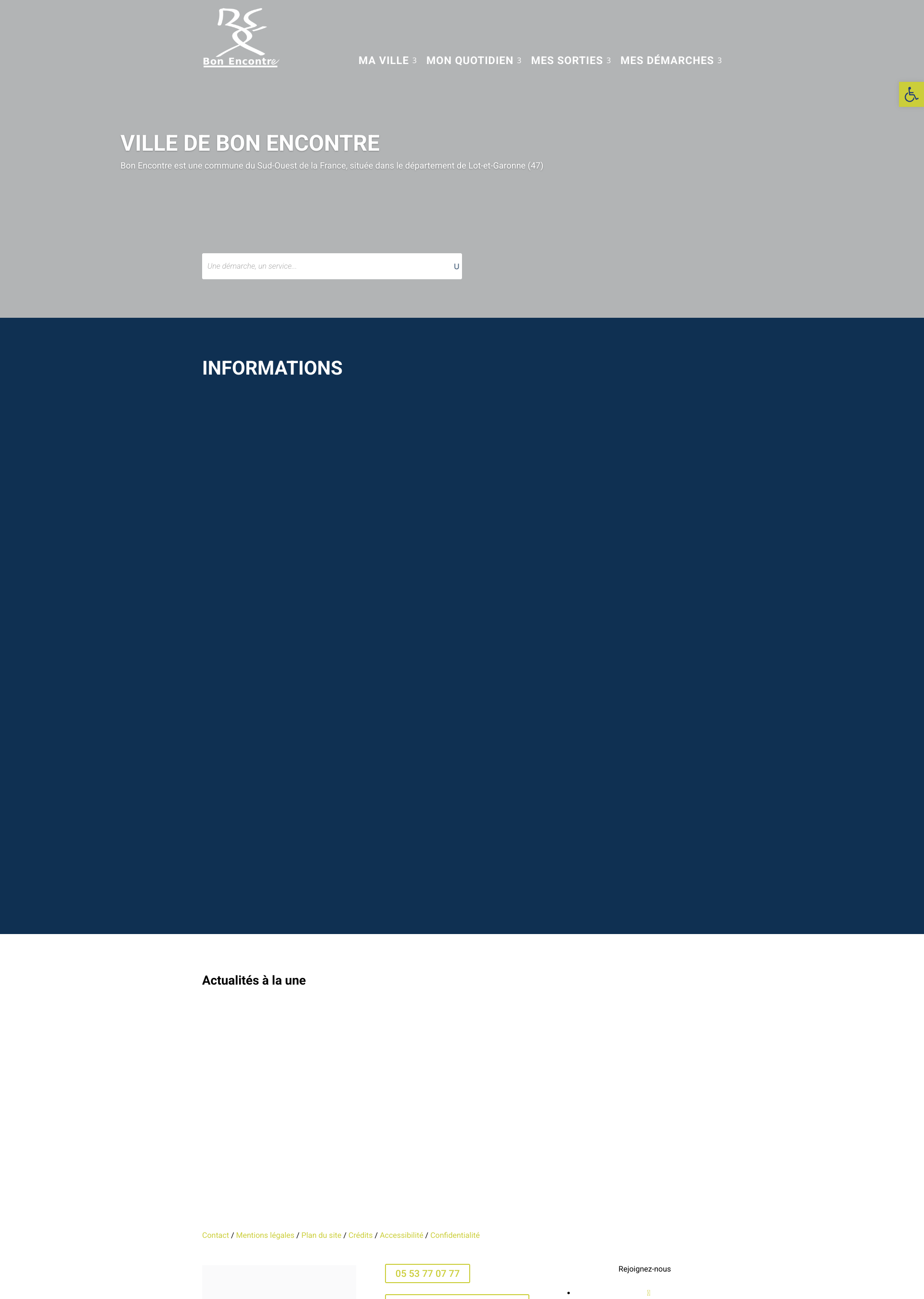 Aperçu du site