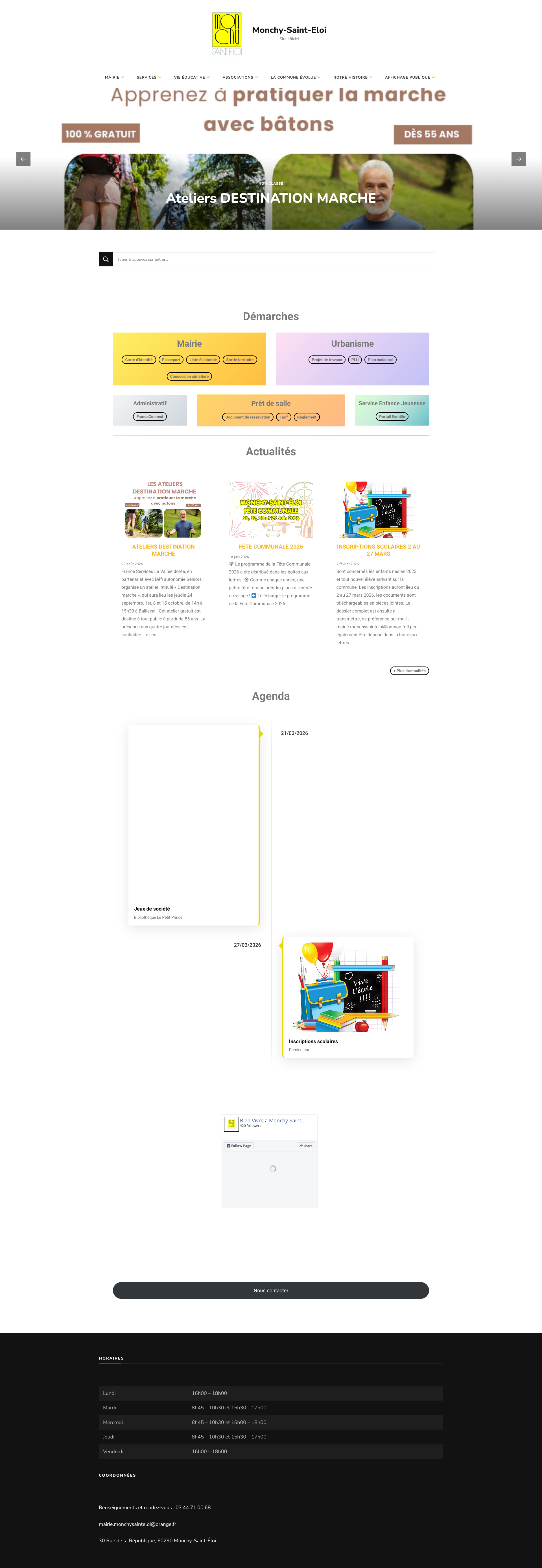 Aperçu du site