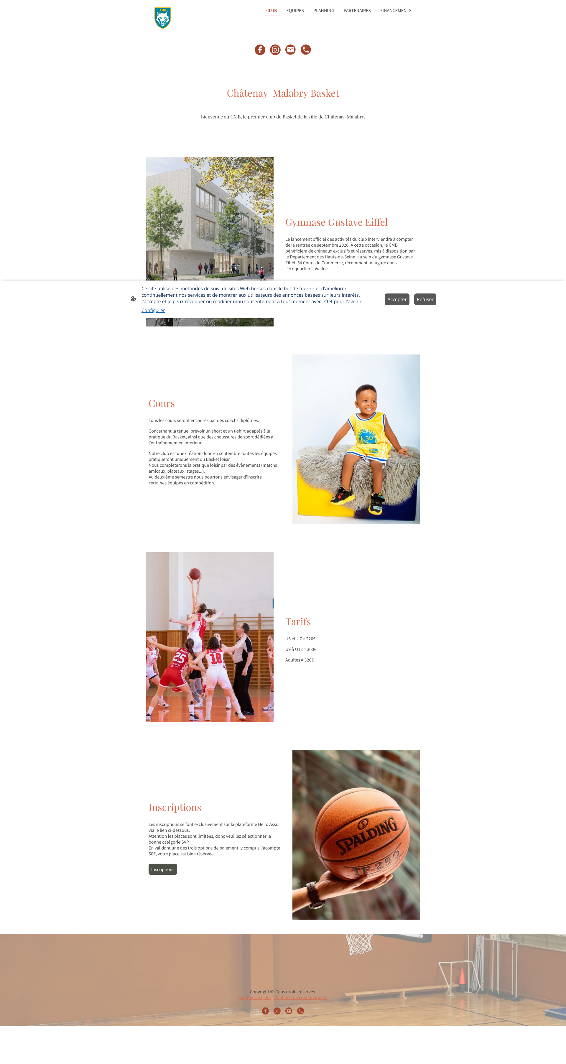 Aperçu du site