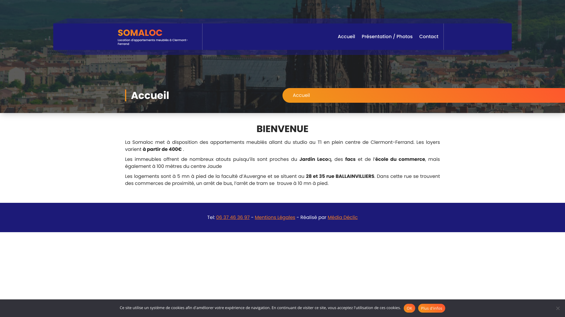 Aperçu du site