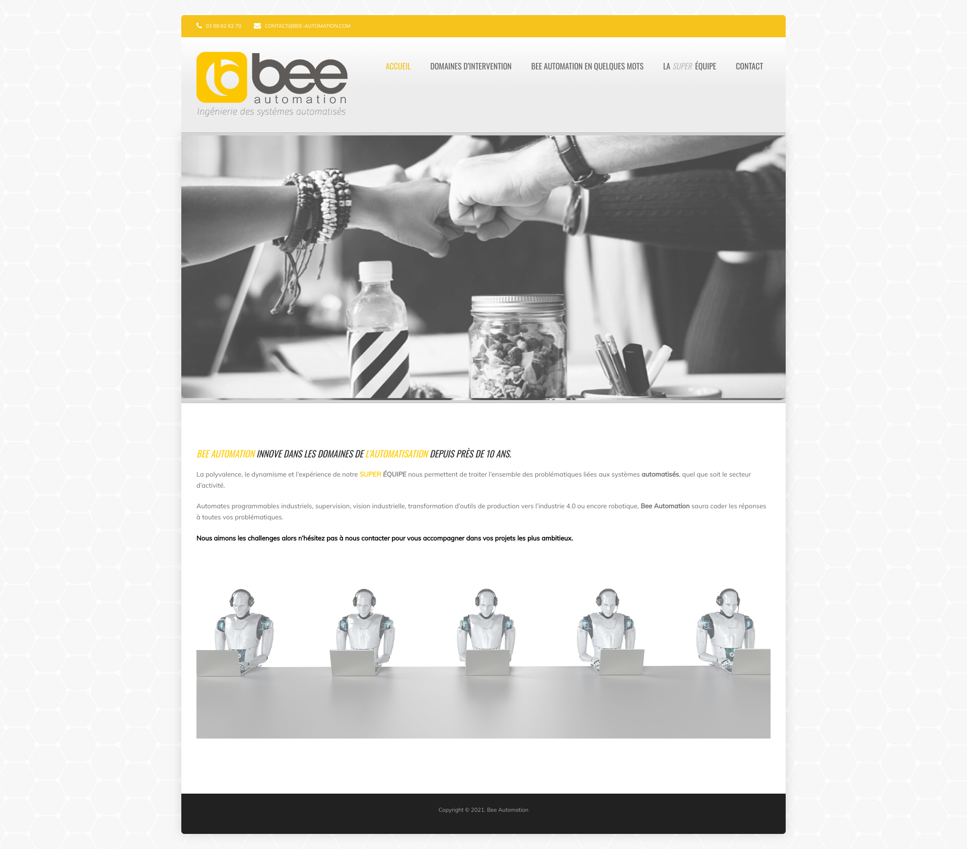 Aperçu du site