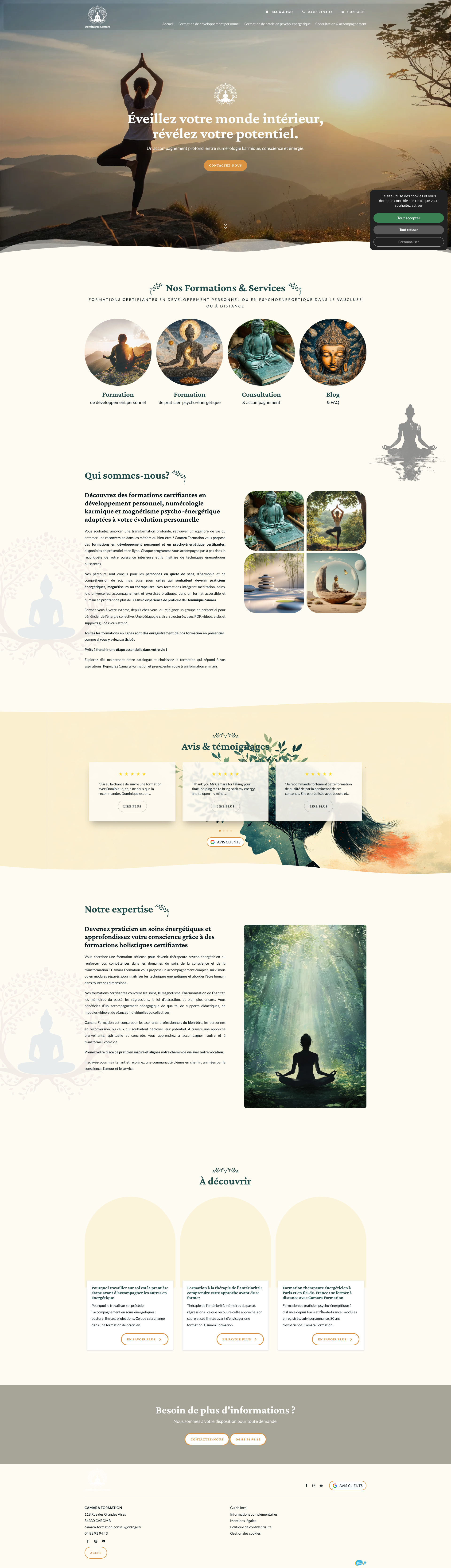 Aperçu du site