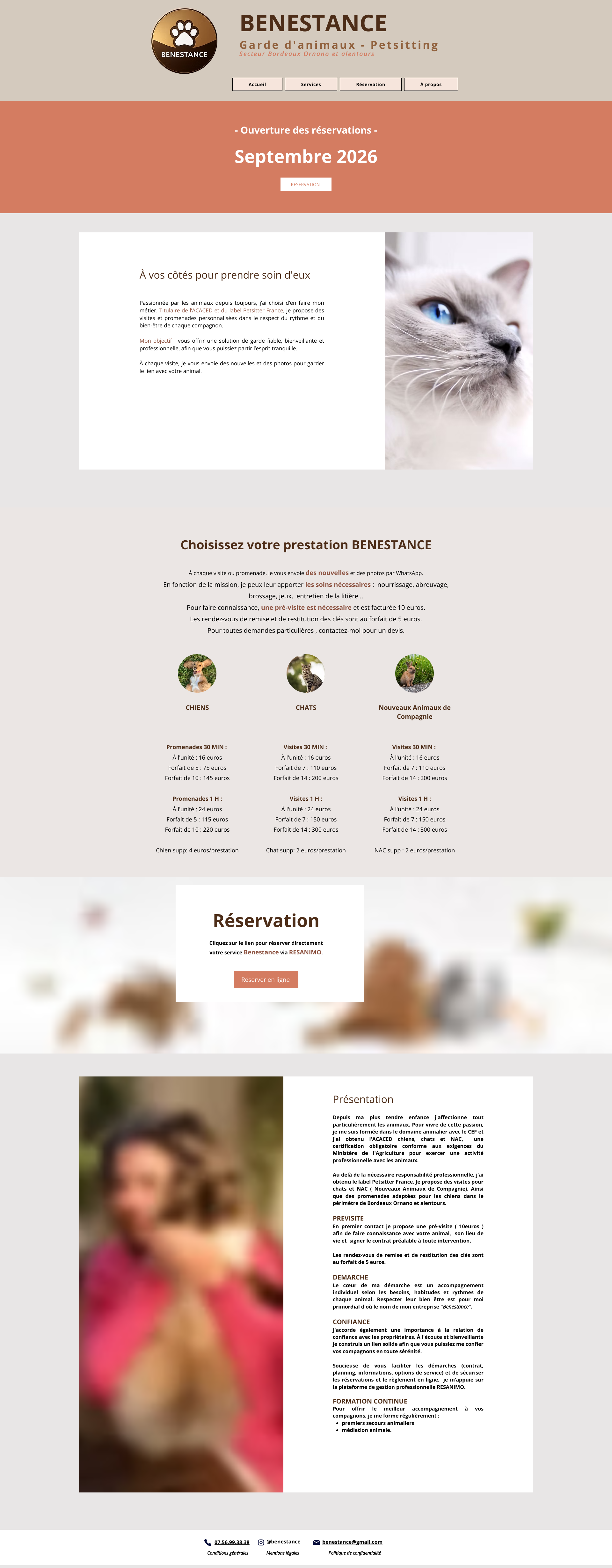 Aperçu du site