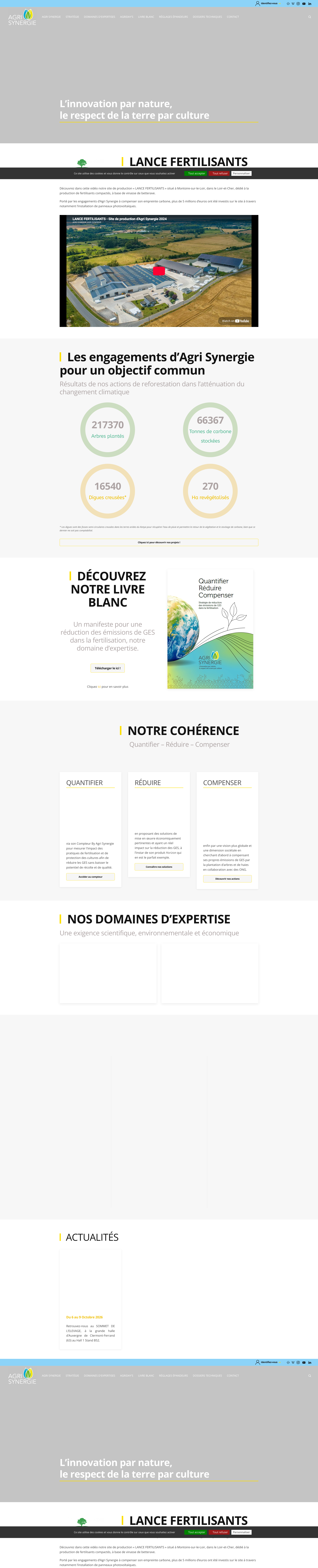 Aperçu du site
