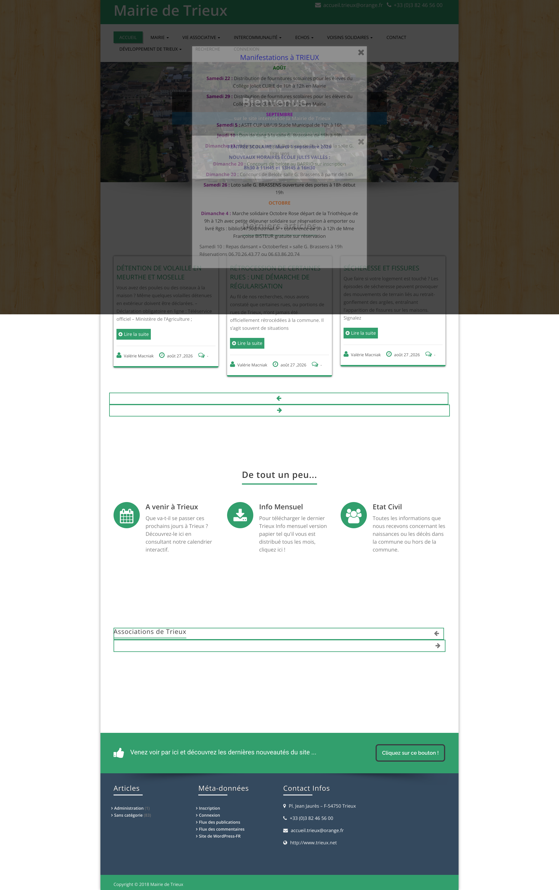 Aperçu du site