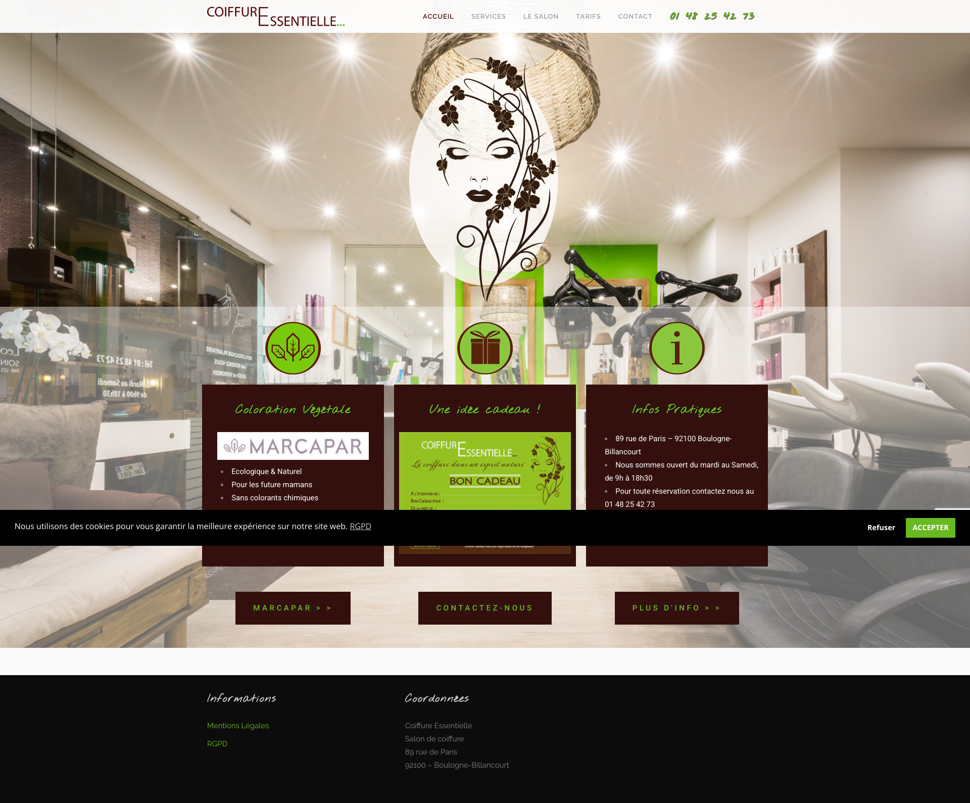 Aperçu du site