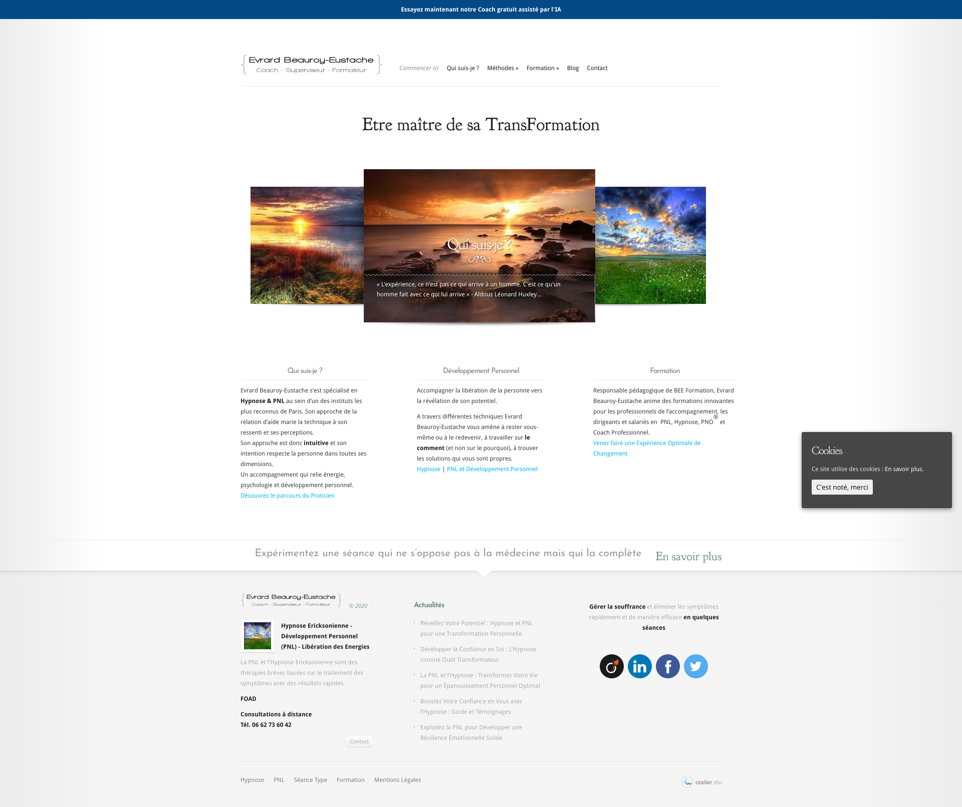 Aperçu du site