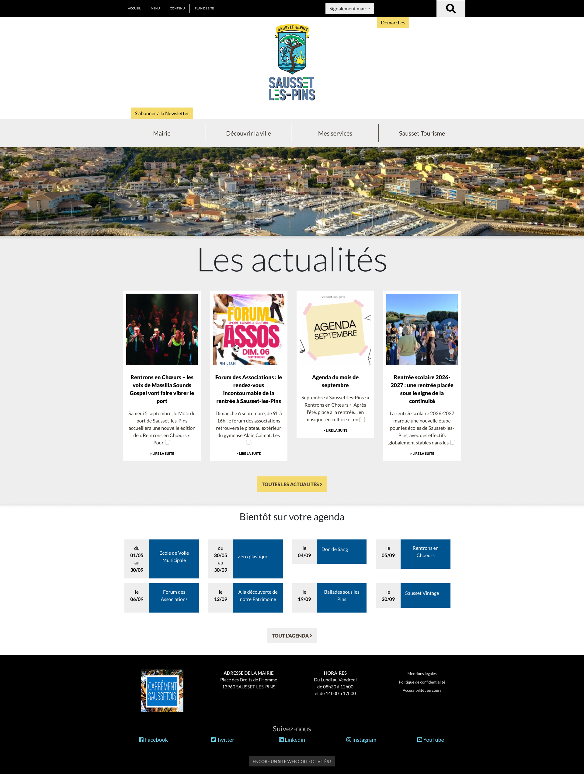 Aperçu du site
