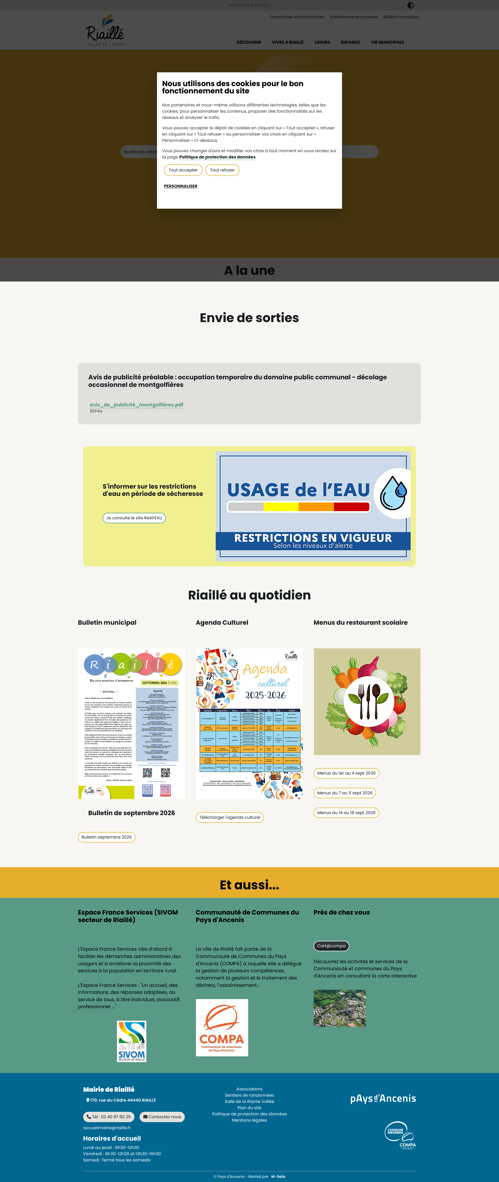 Aperçu du site