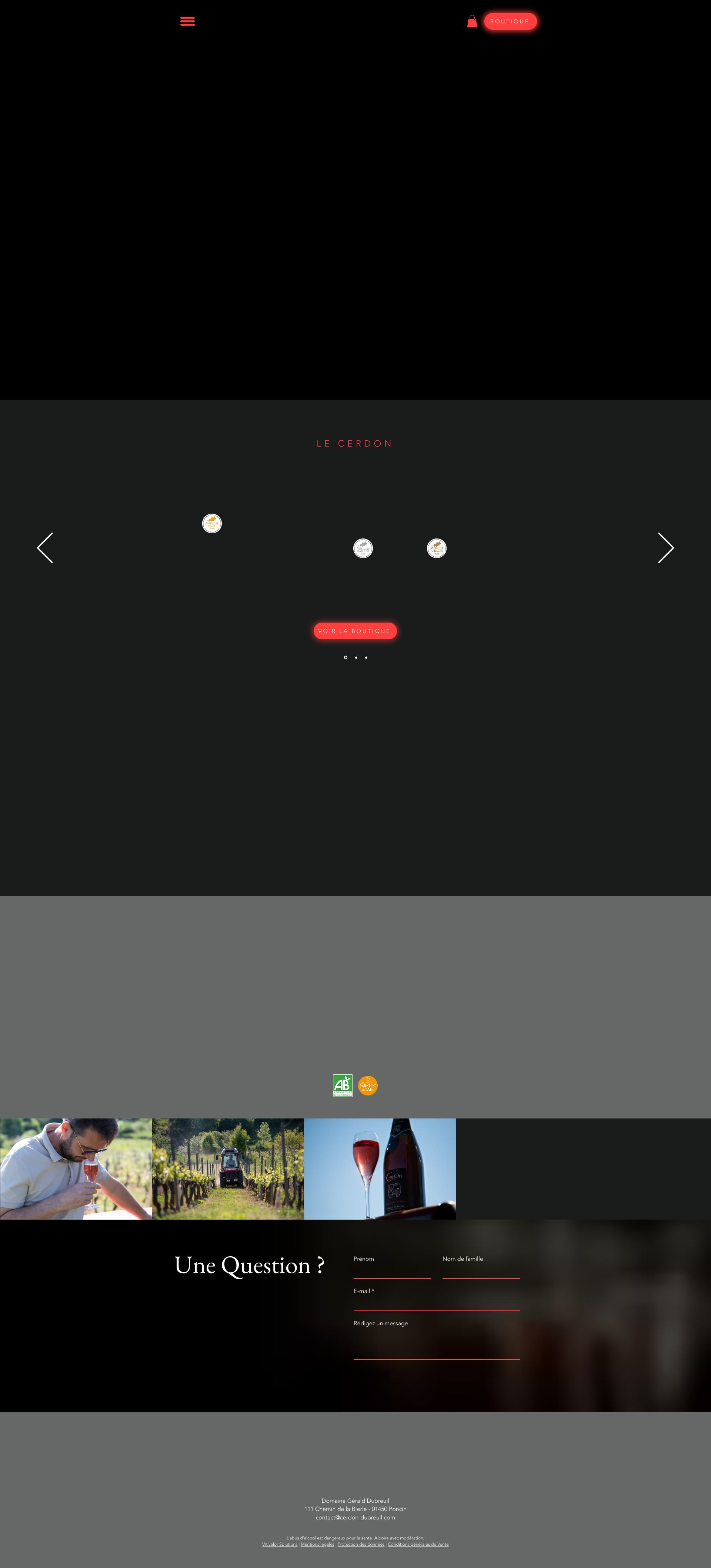 Aperçu du site