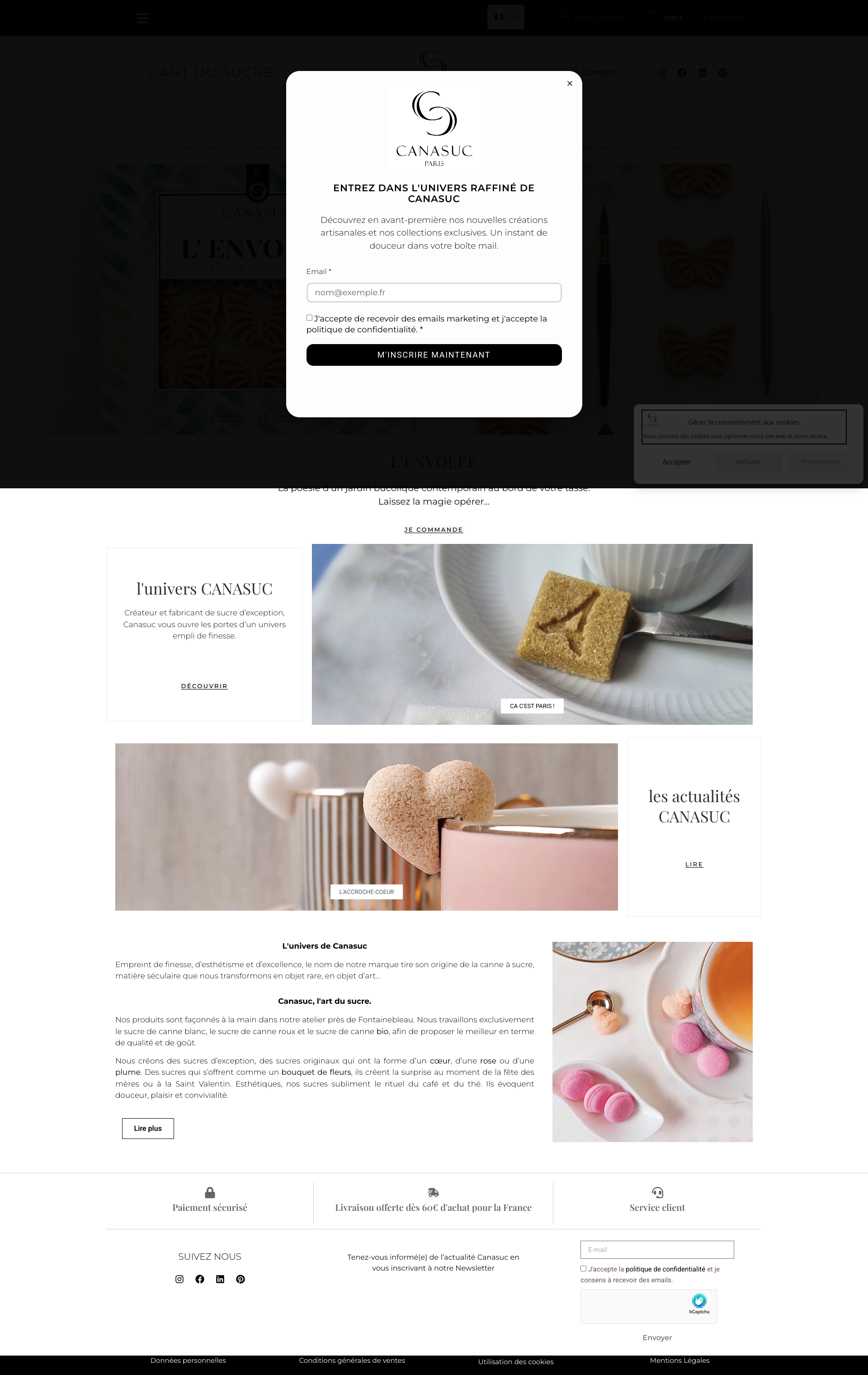 Aperçu du site