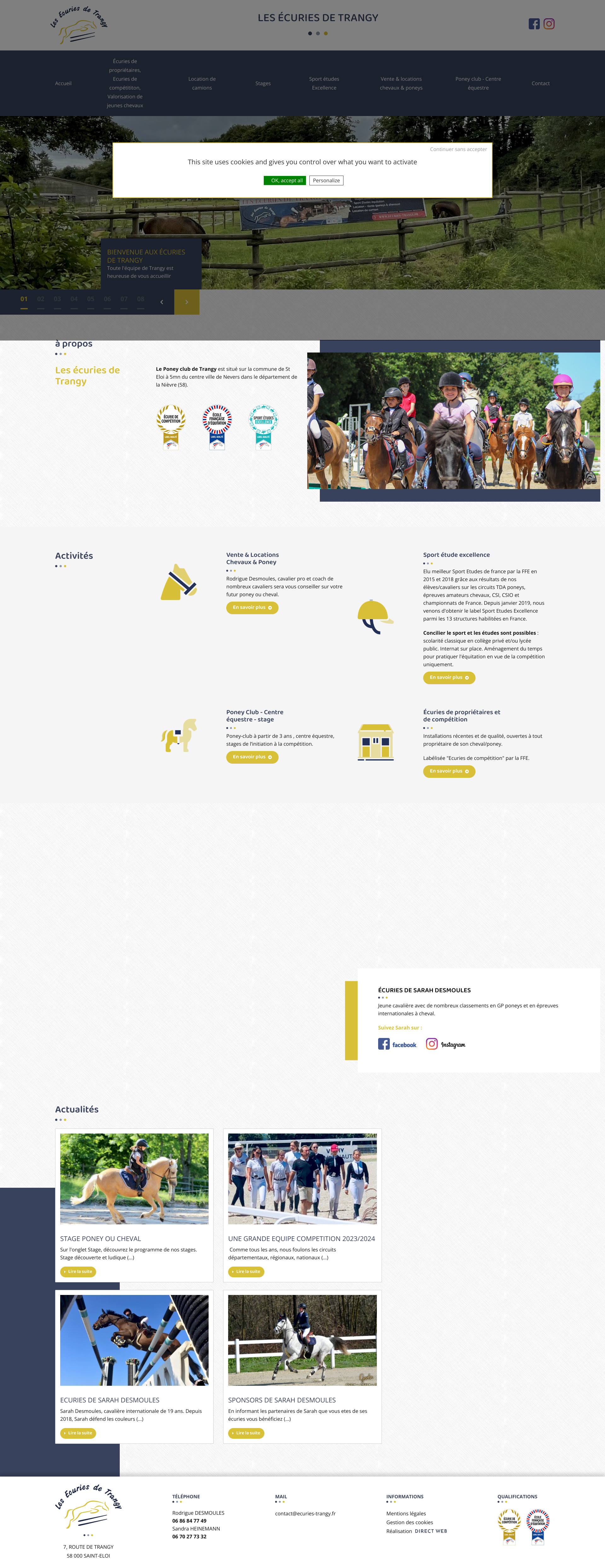 Aperçu du site