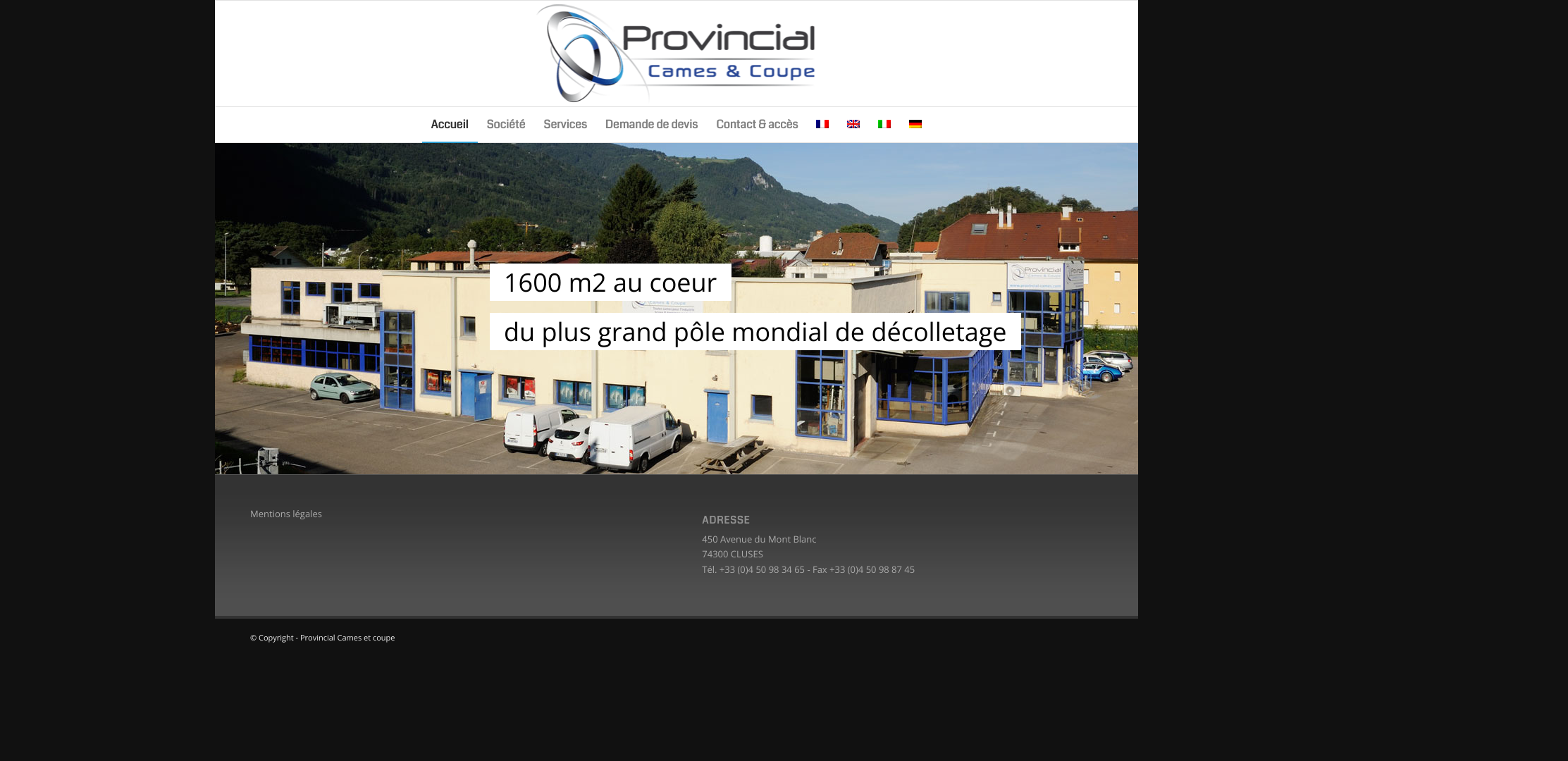 Aperçu du site