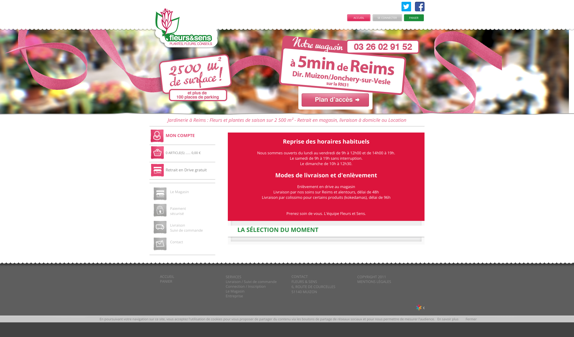 Aperçu du site