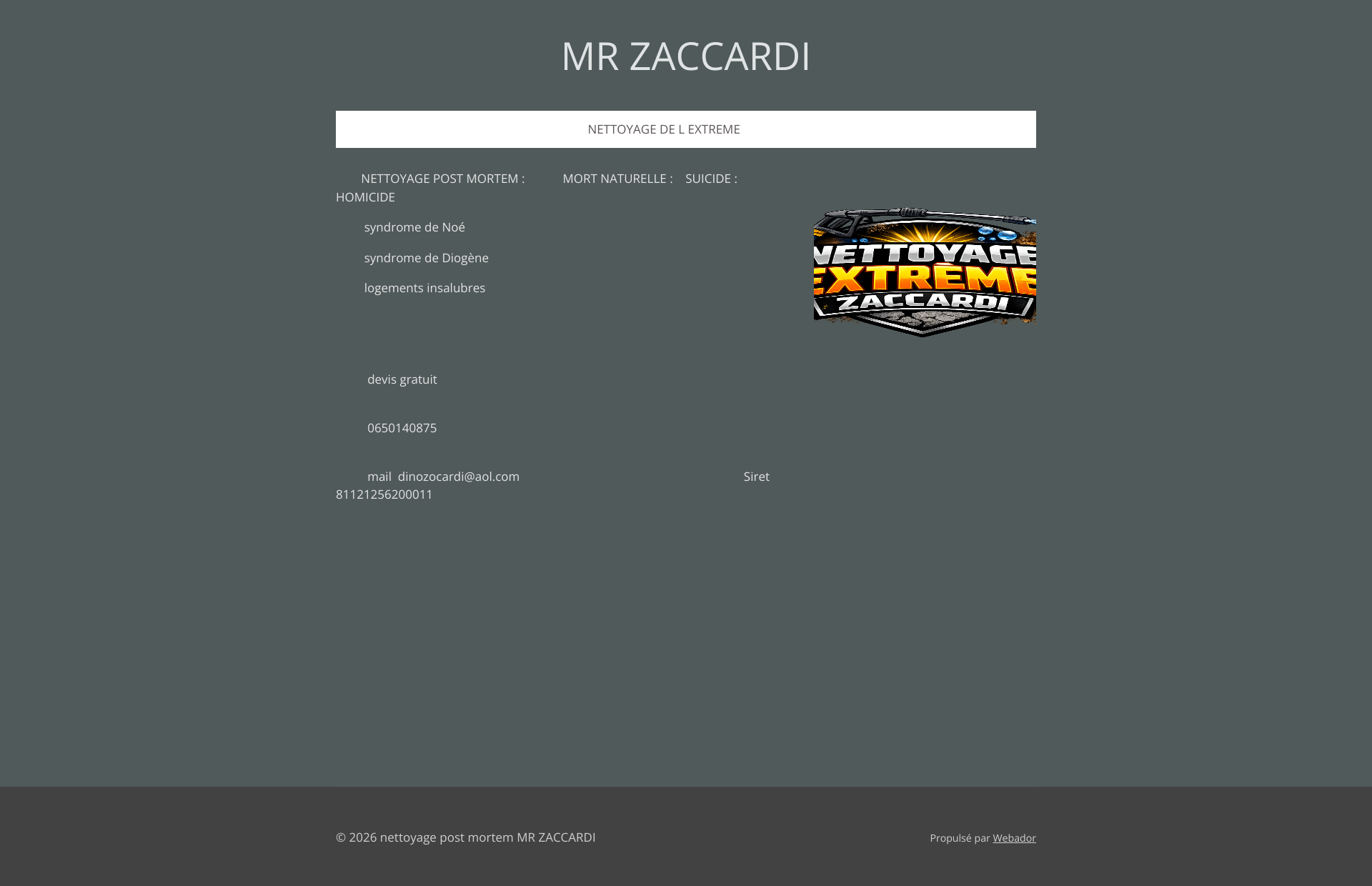 Aperçu du site