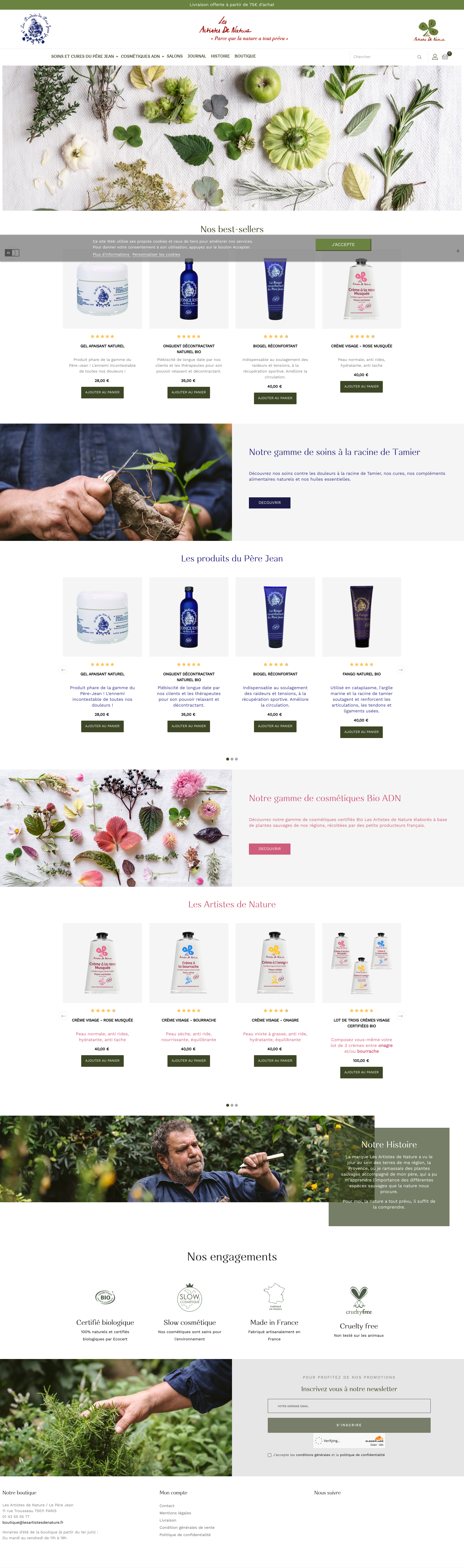 Aperçu du site