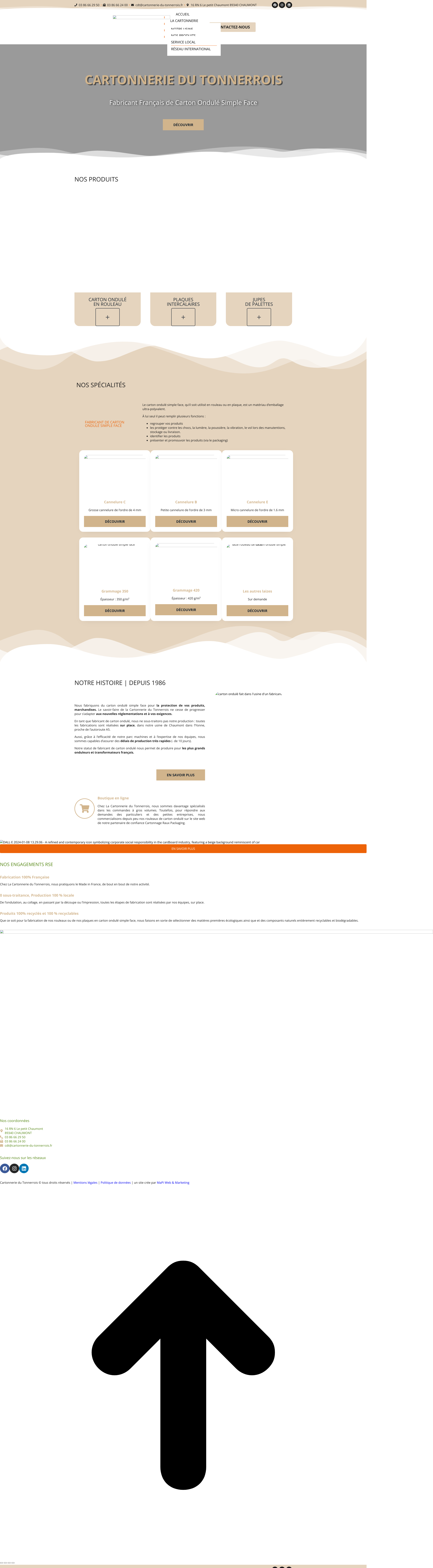 Aperçu du site