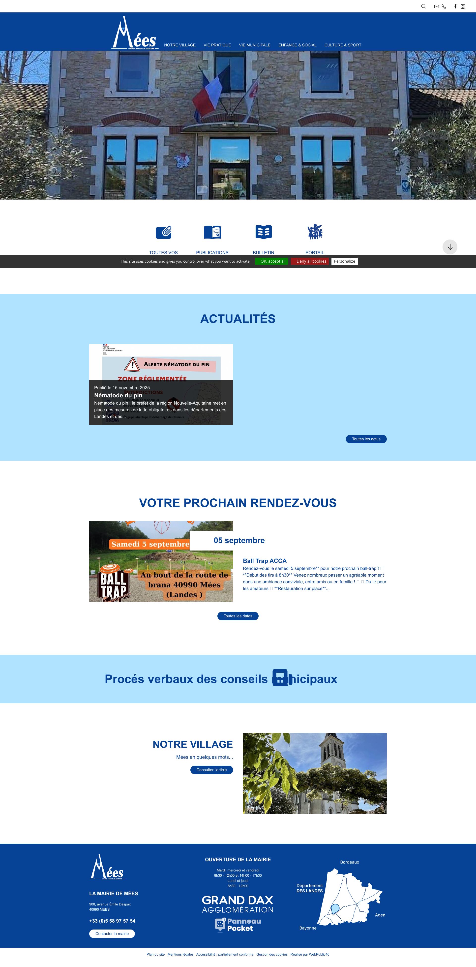 Aperçu du site