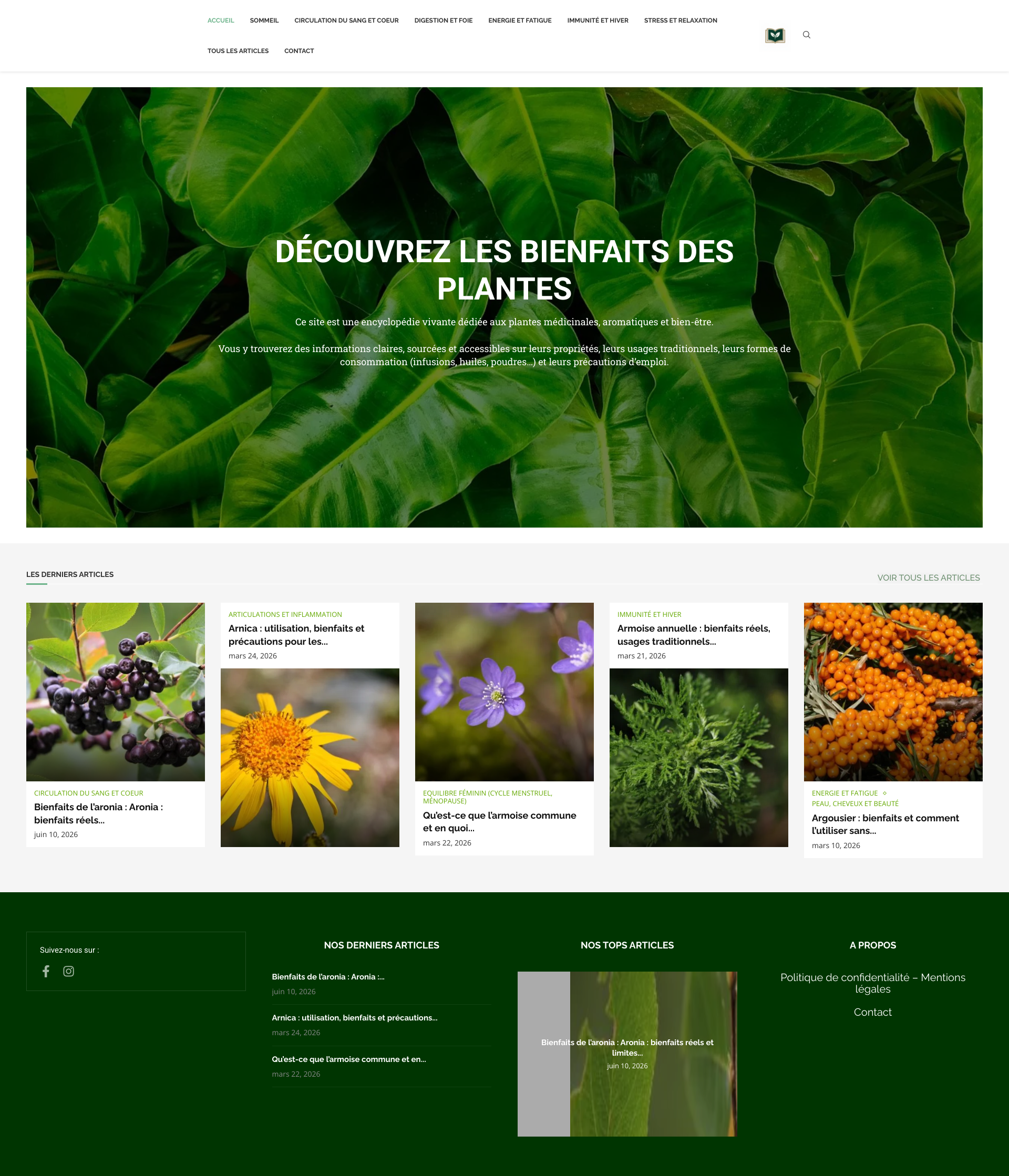 Aperçu du site