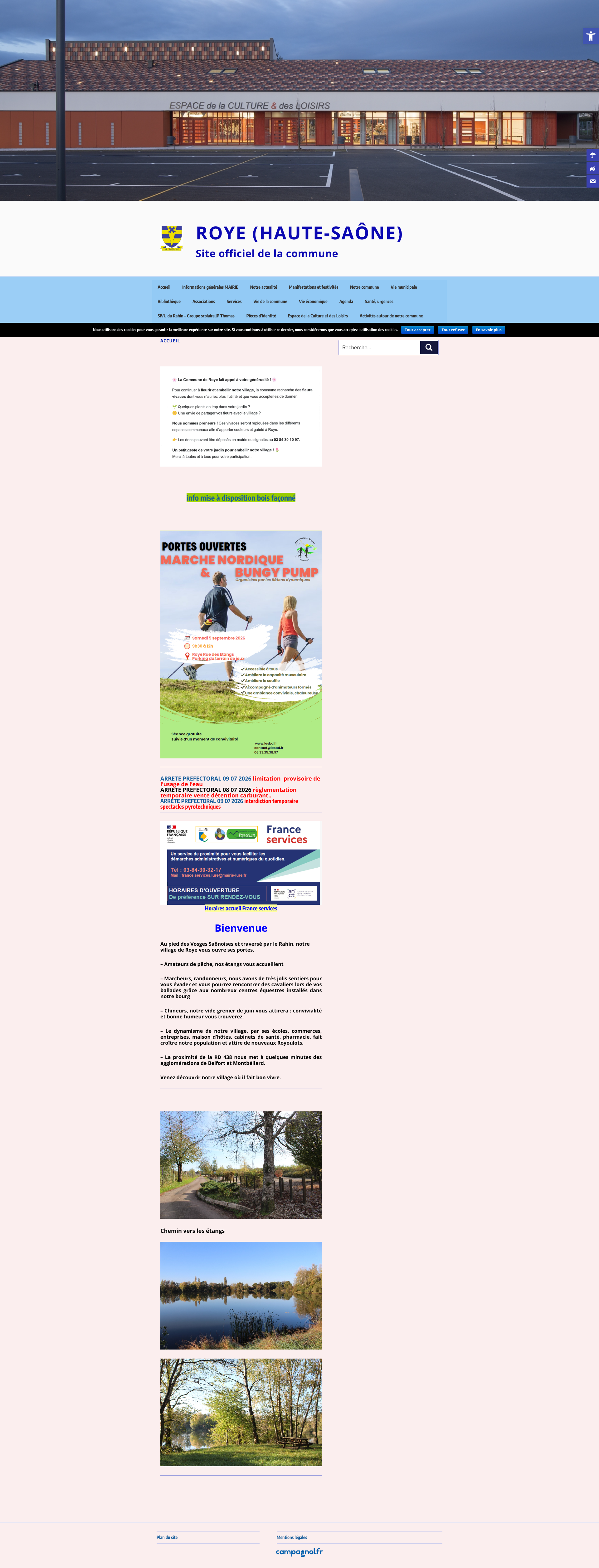 Aperçu du site