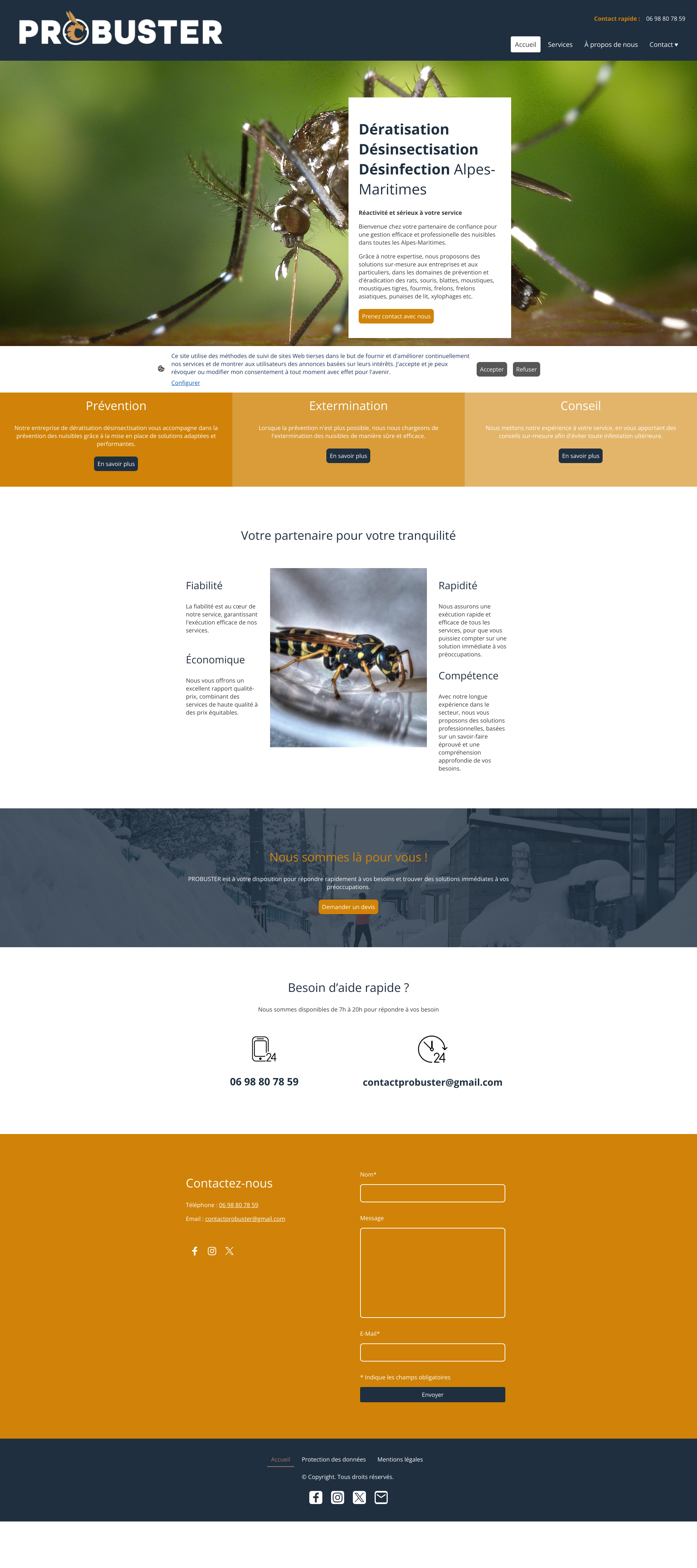 Aperçu du site
