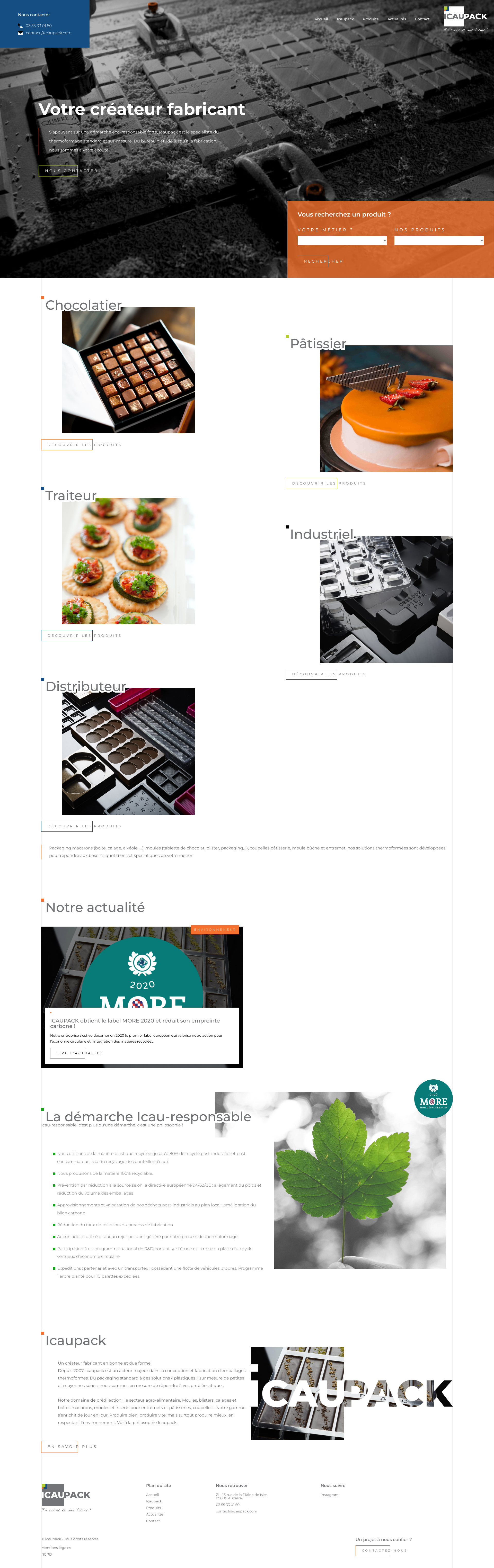 Aperçu du site