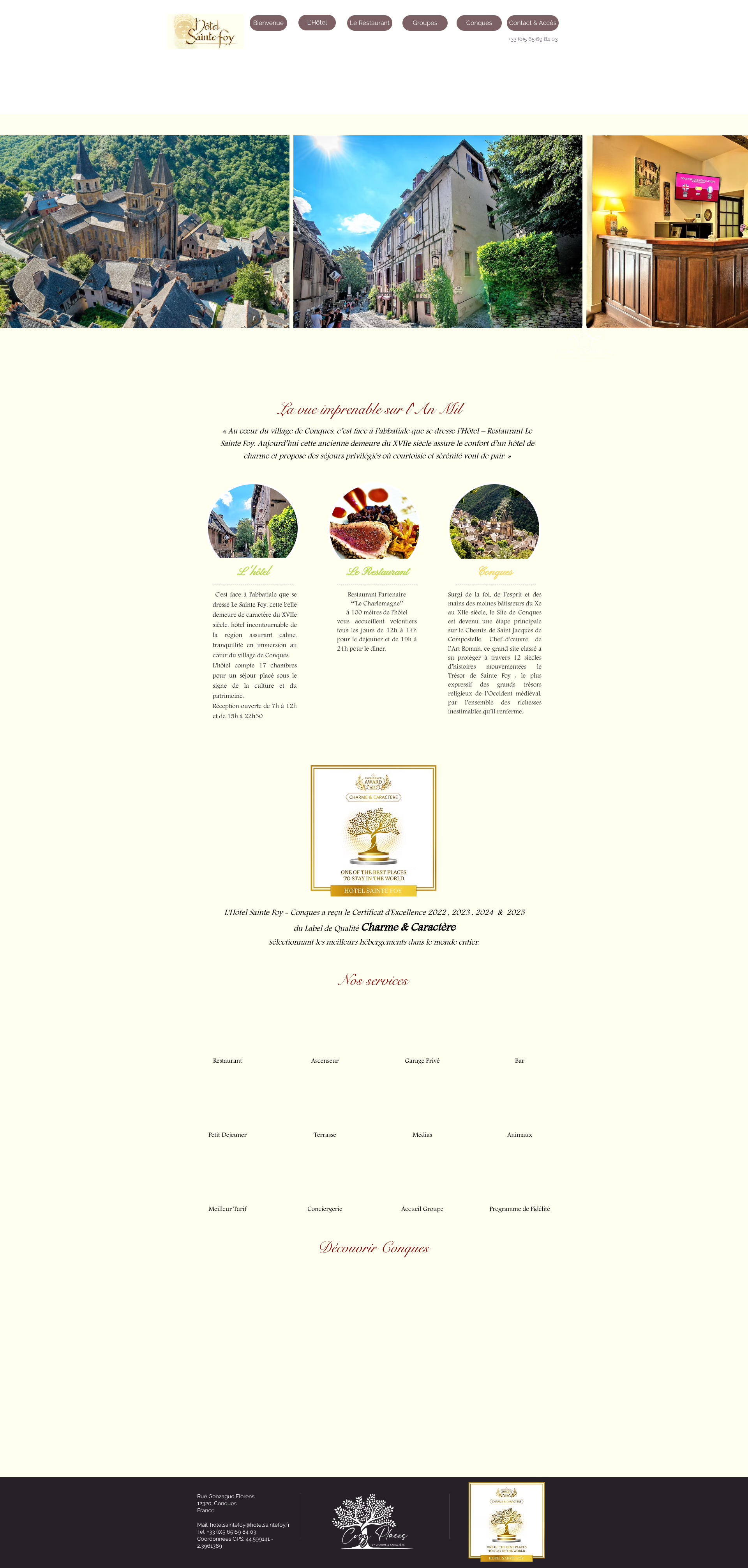 Aperçu du site
